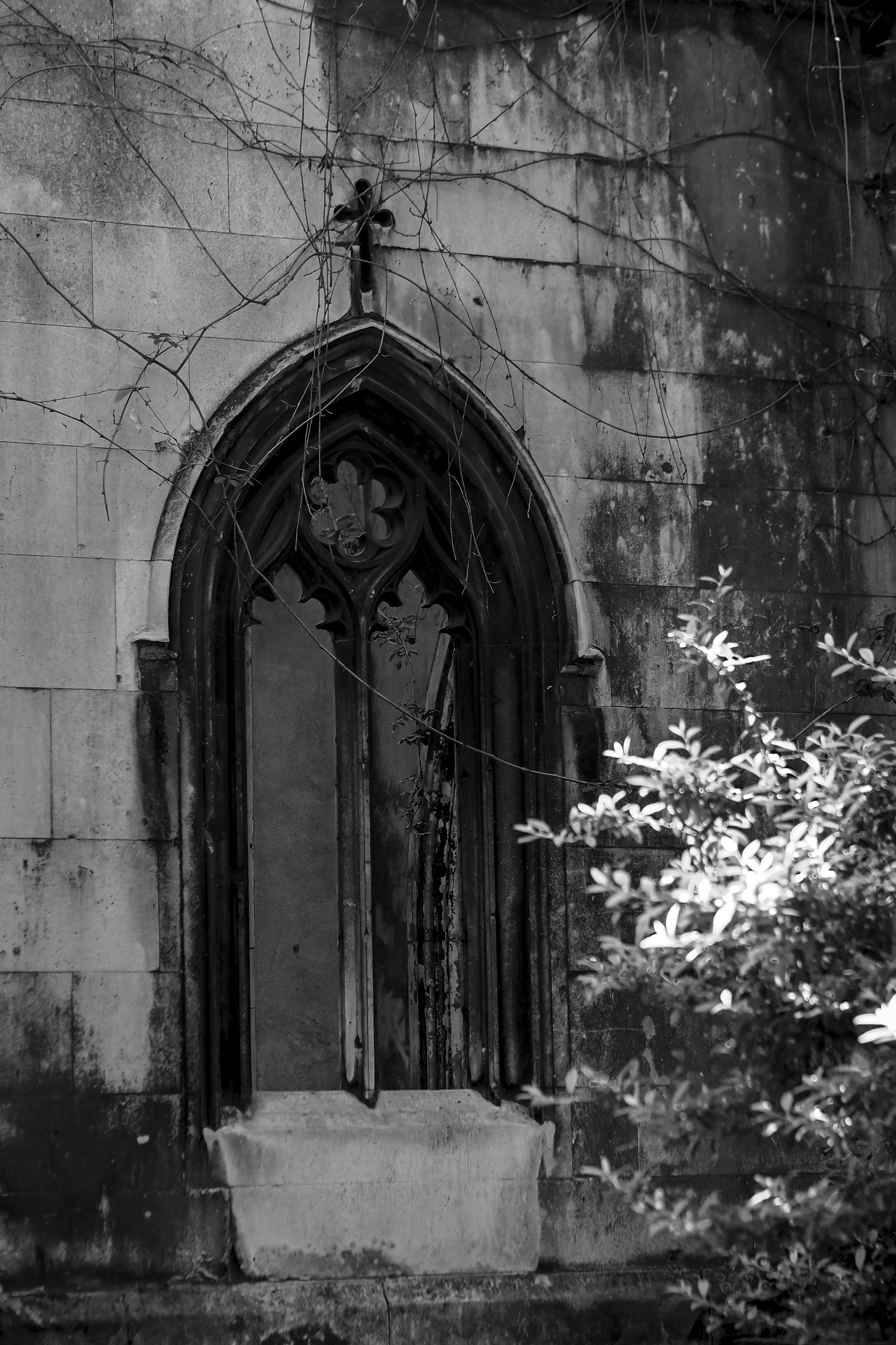 Photo by laurachouette