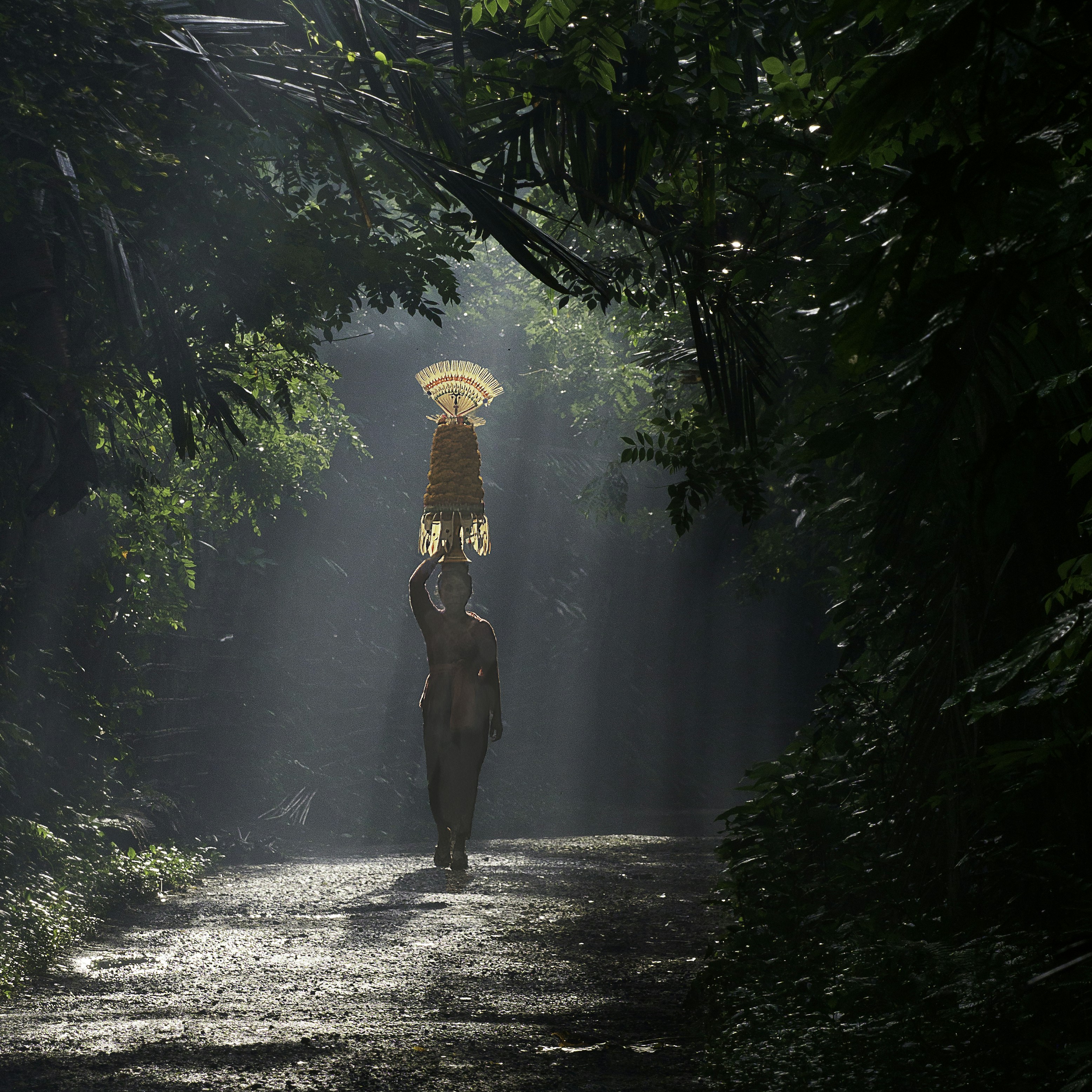 籠を背負った象