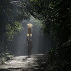 an elephant carrying a basket on its back