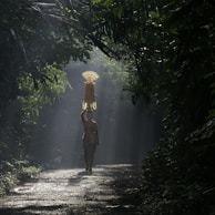an elephant carrying a basket on its back