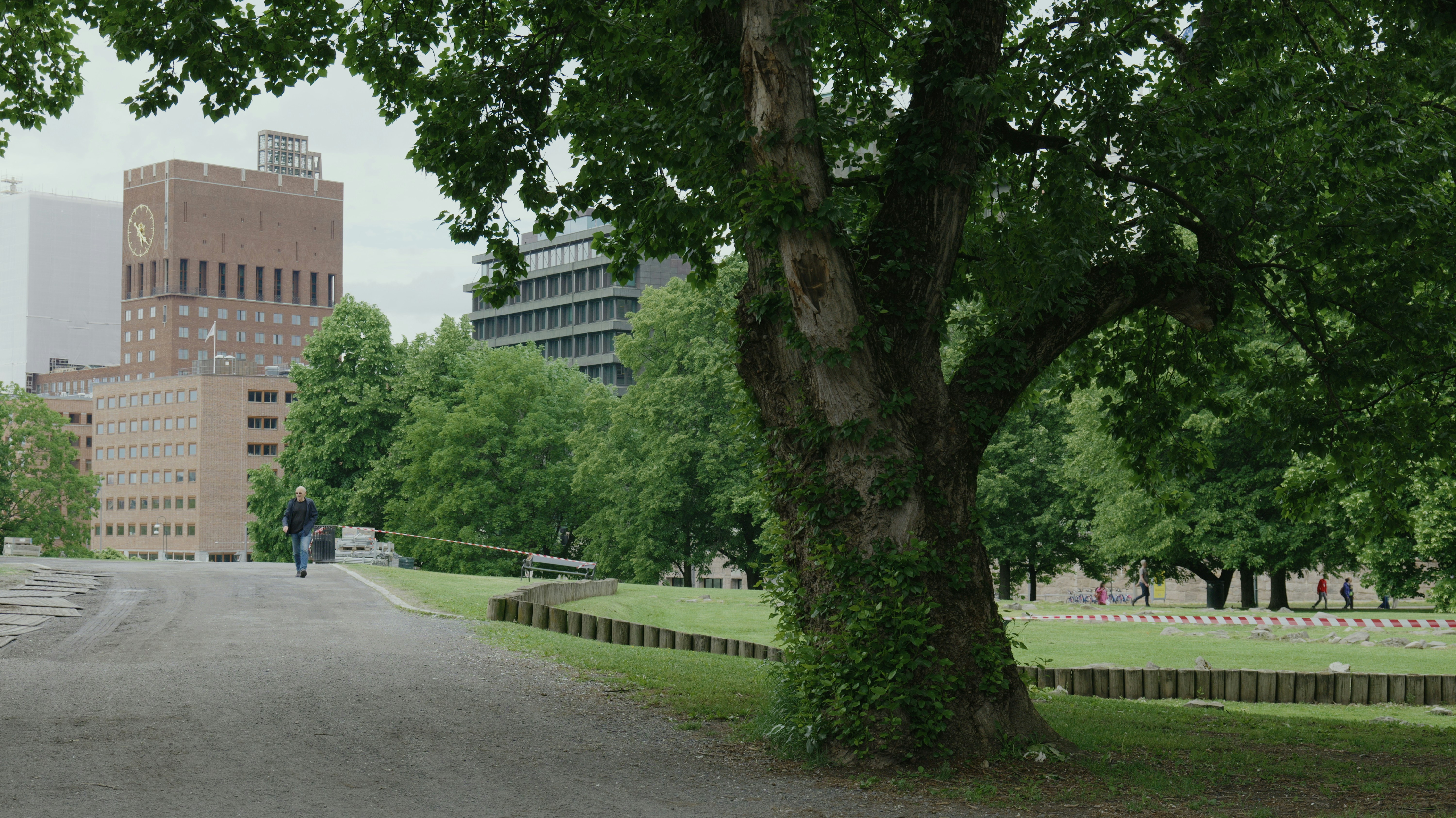 a couple of people are walking down a path