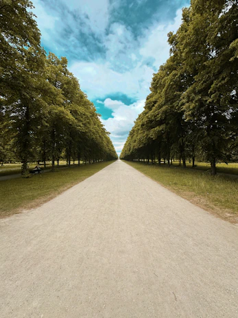 a dirt road surrounded by trees under a cloudy blue sky