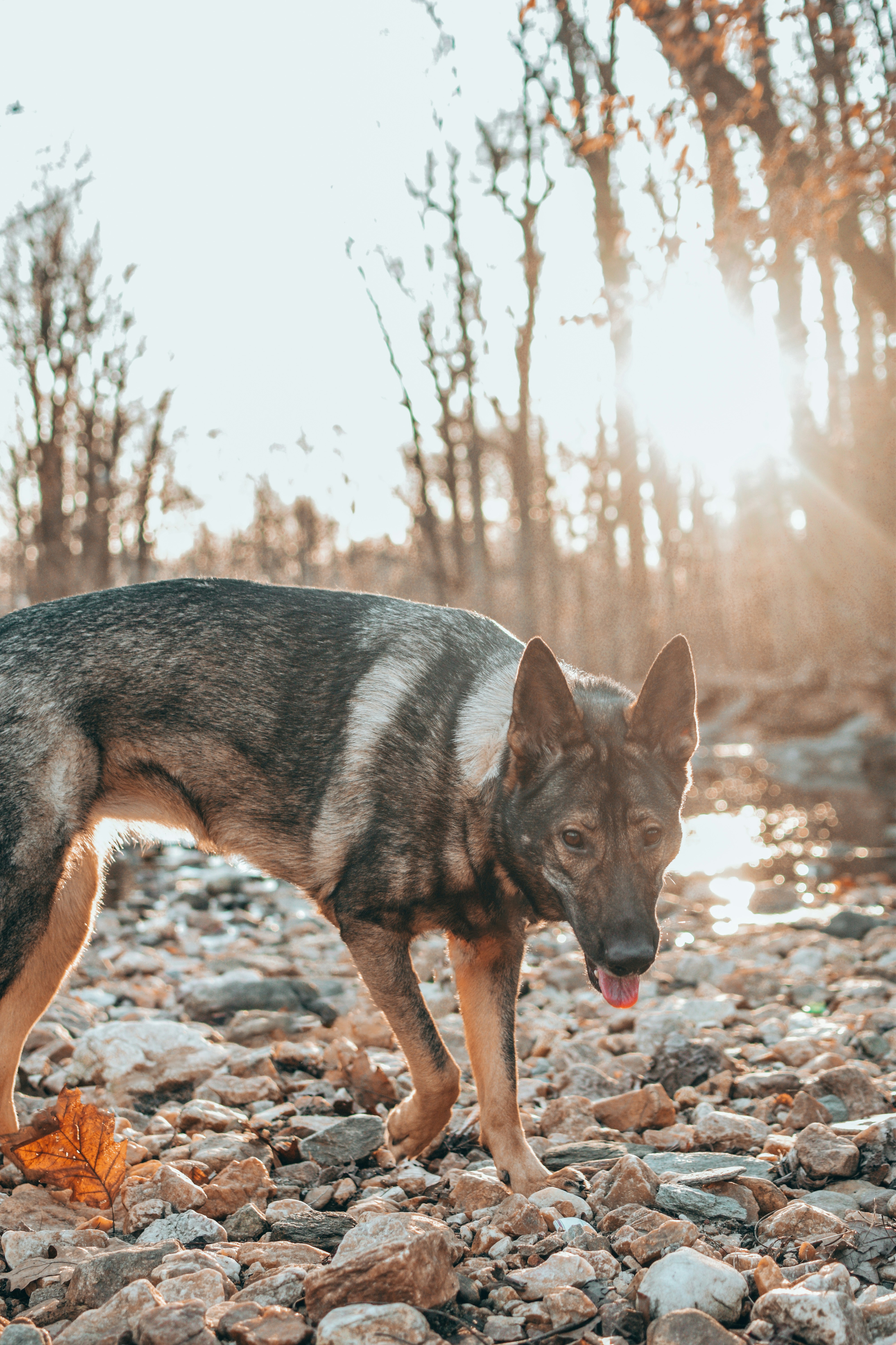 Photo by meganmajocha