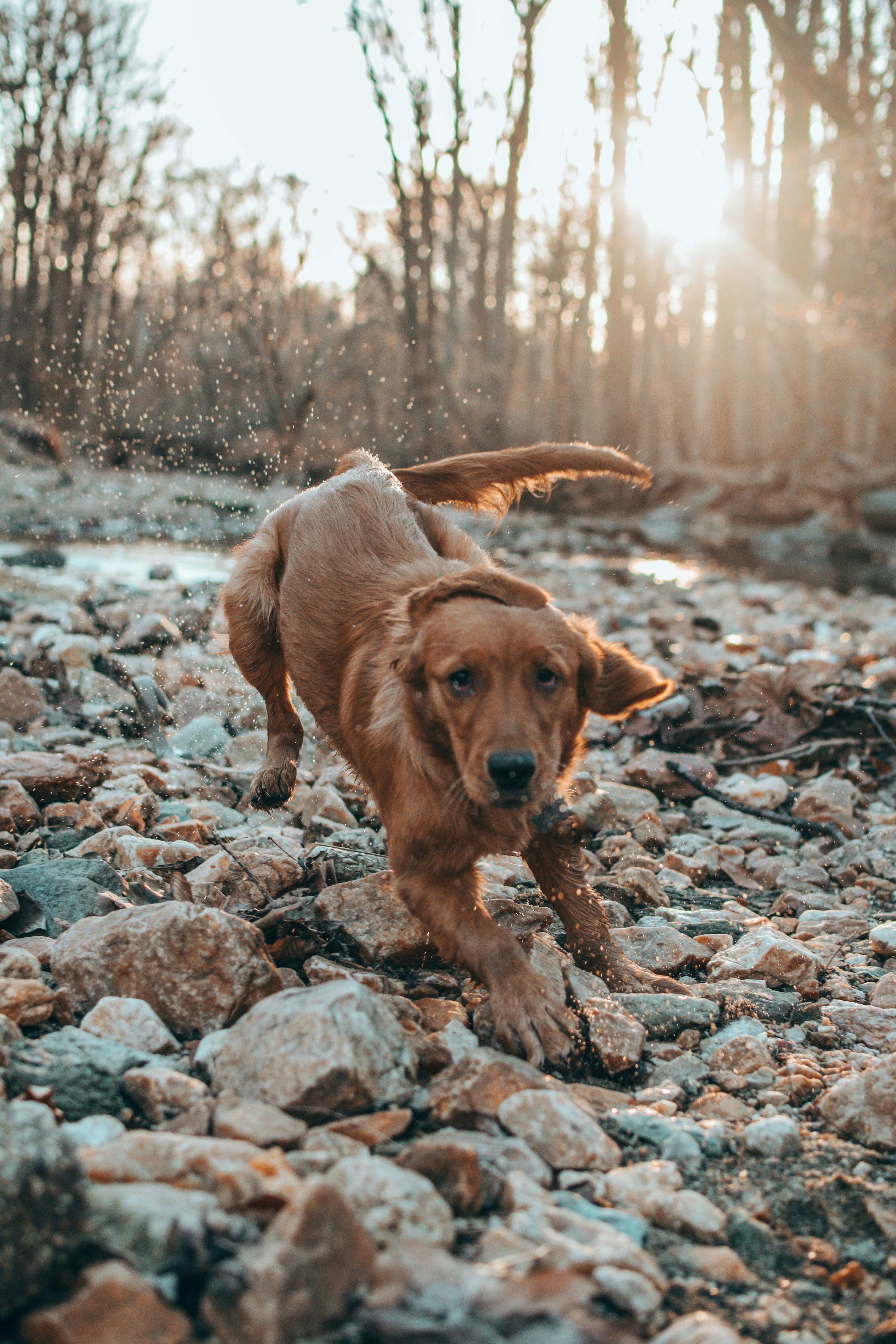 Photo by meganmajocha