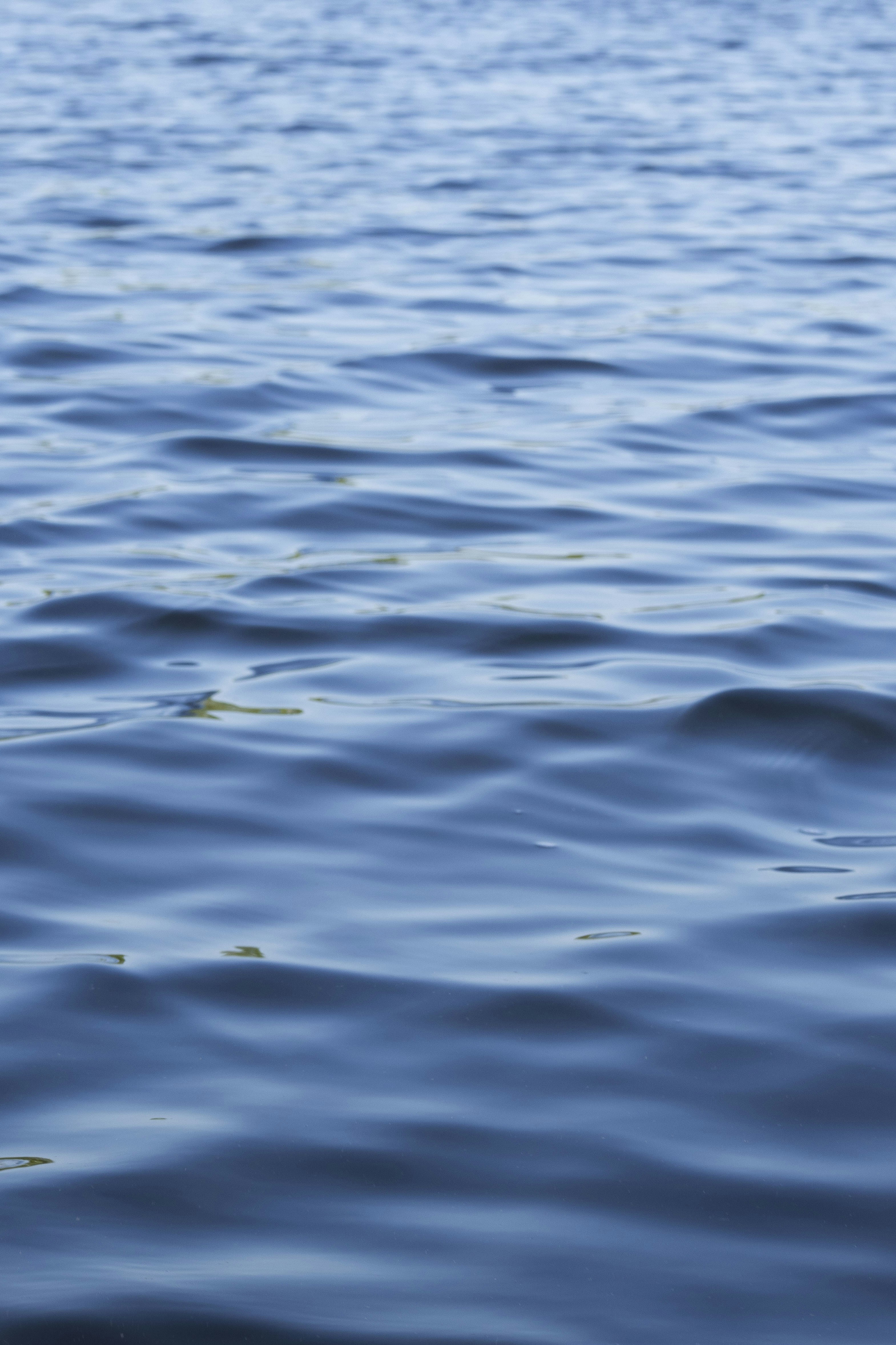 Photo by mollycantin