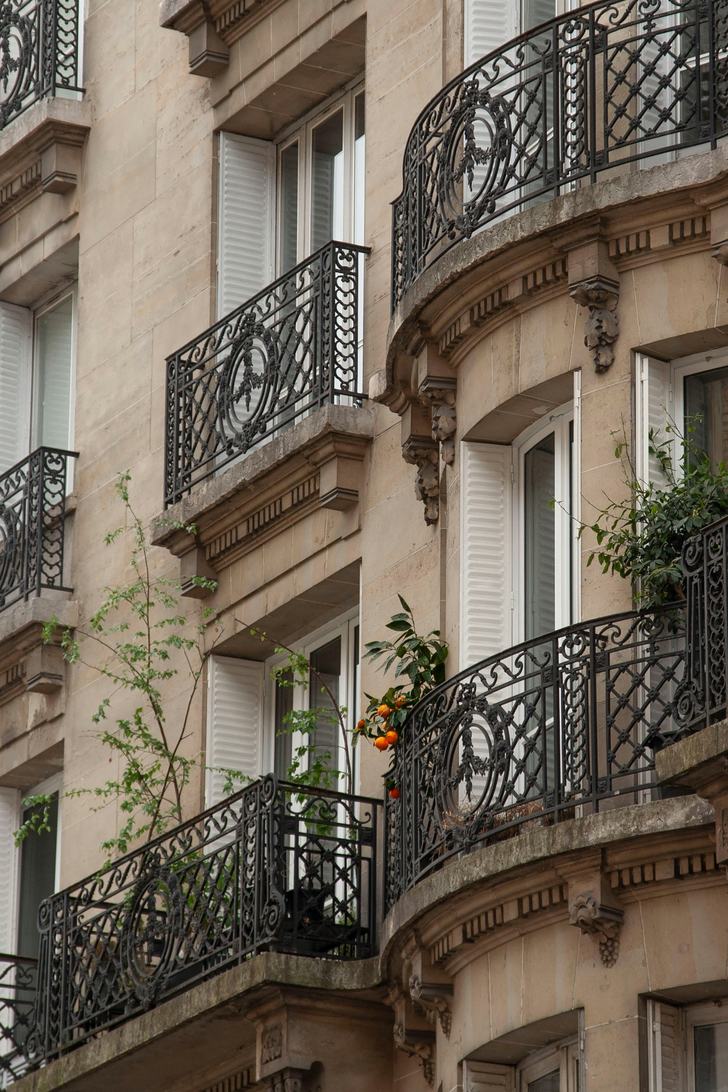 Photo by mollycantin