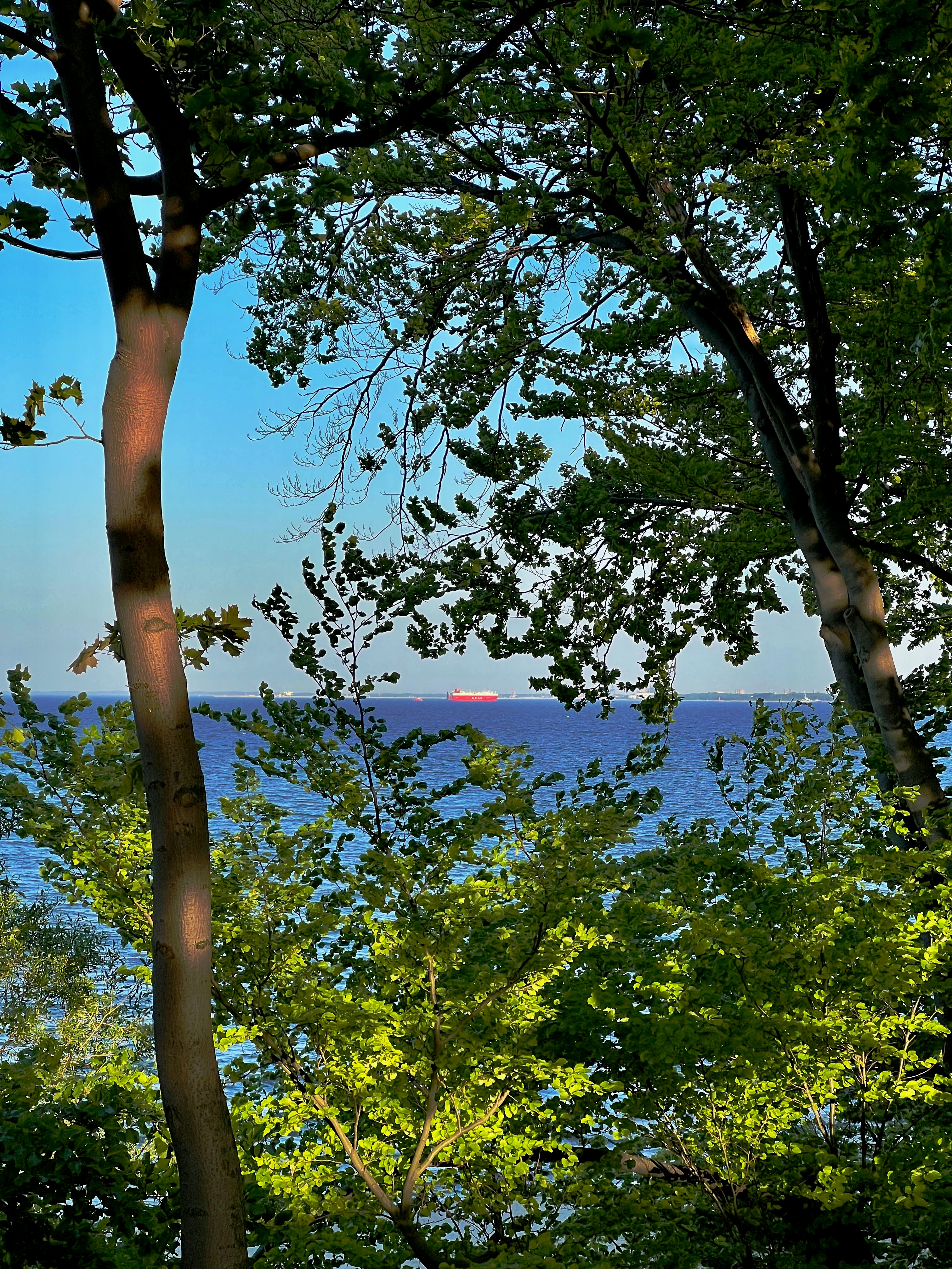 Photo by michuaintreal