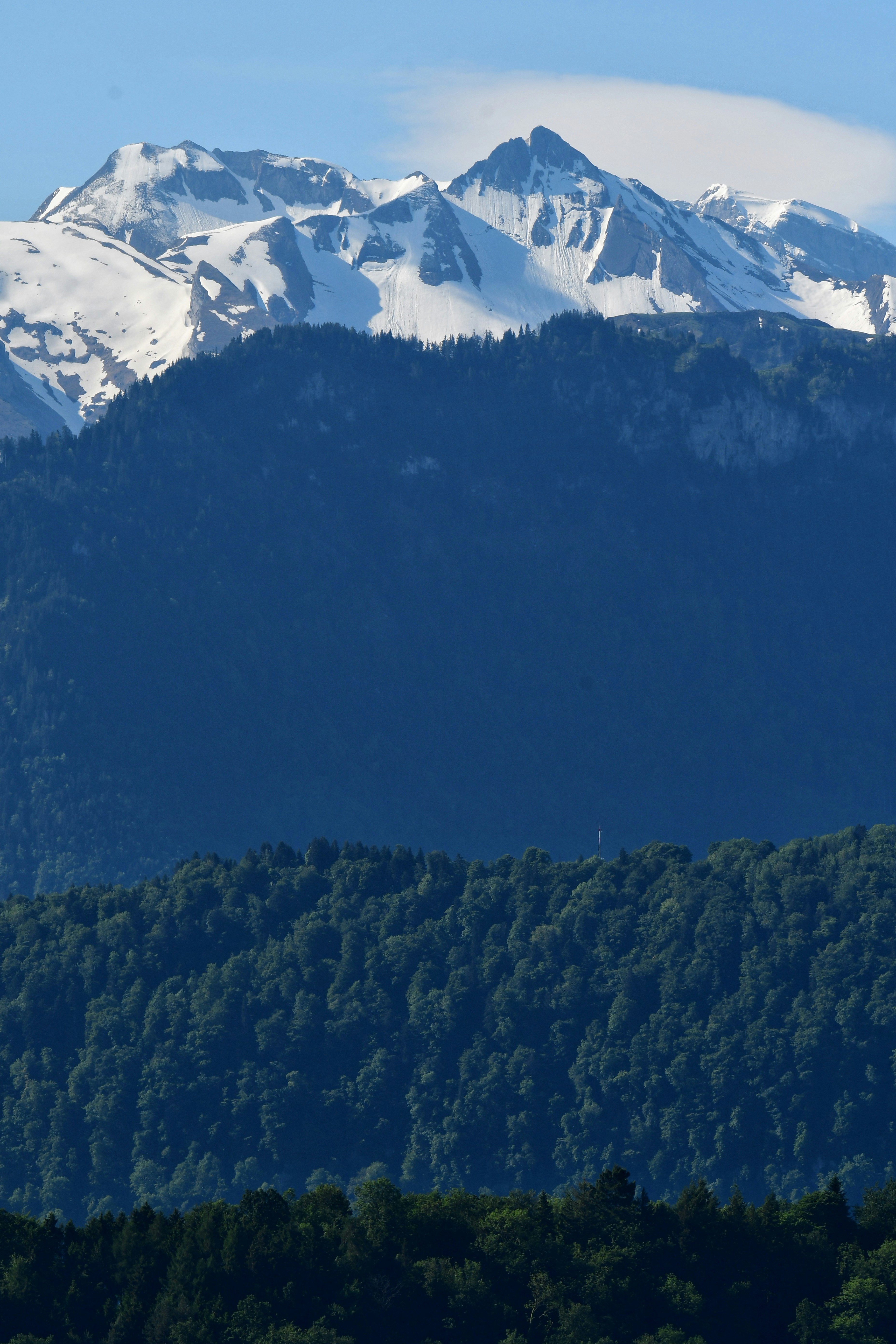 Photo by pedrino5_official