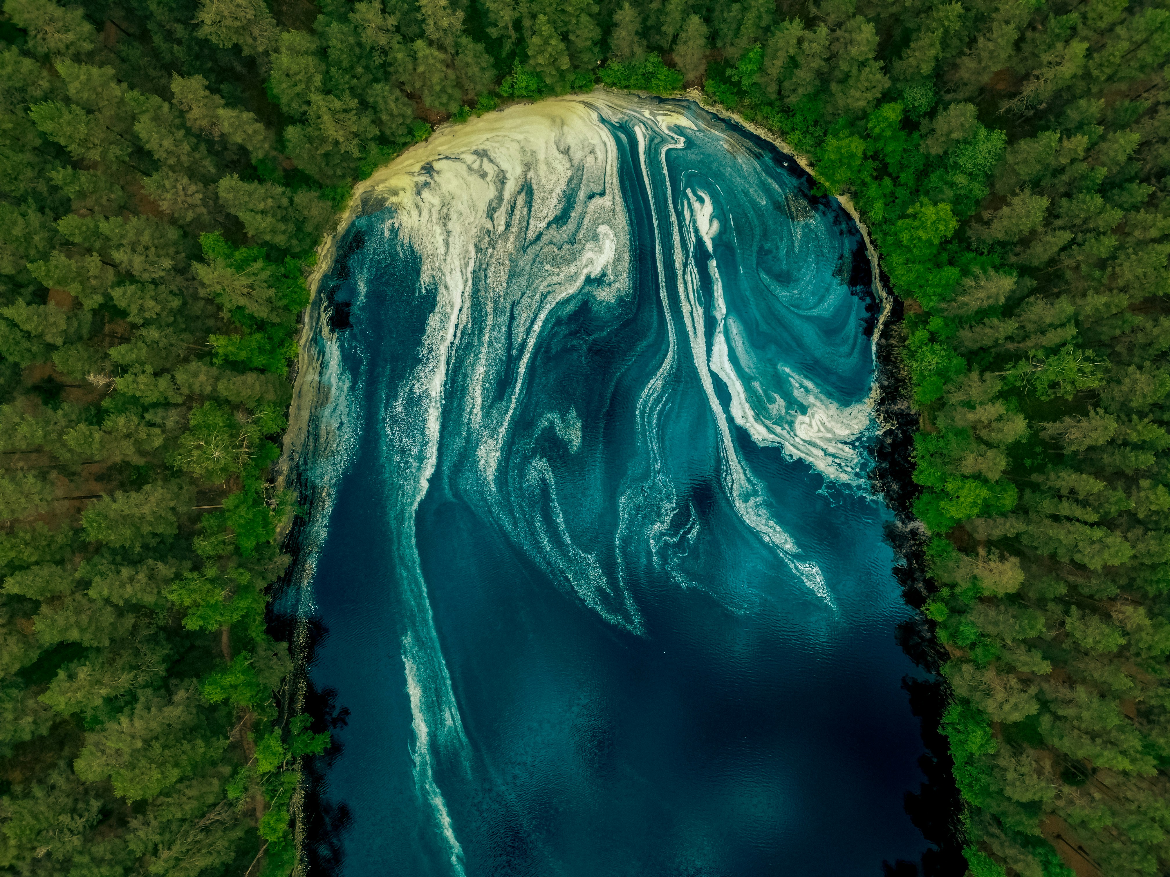 Eine Luftaufnahme eines von Bäumen umgebenen Gewässers