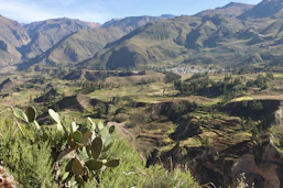 a view of a valley with mountains in the background