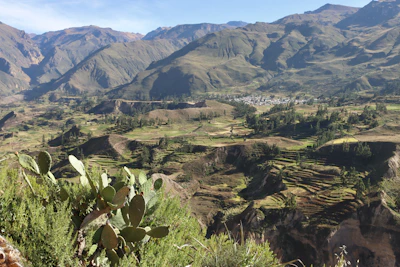 a view of a valley with mountains in the background