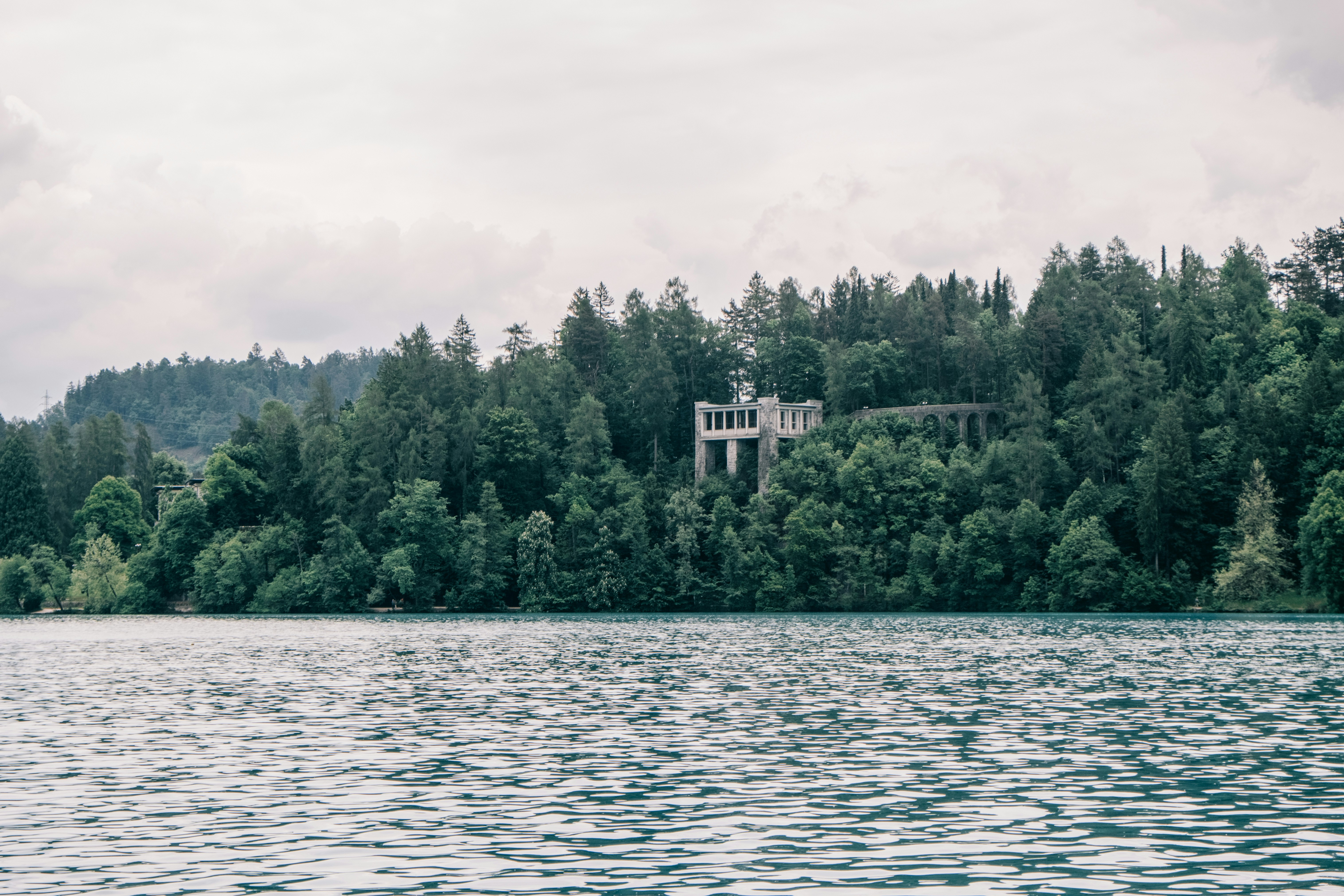 a body of water surrounded by trees and a forest, 