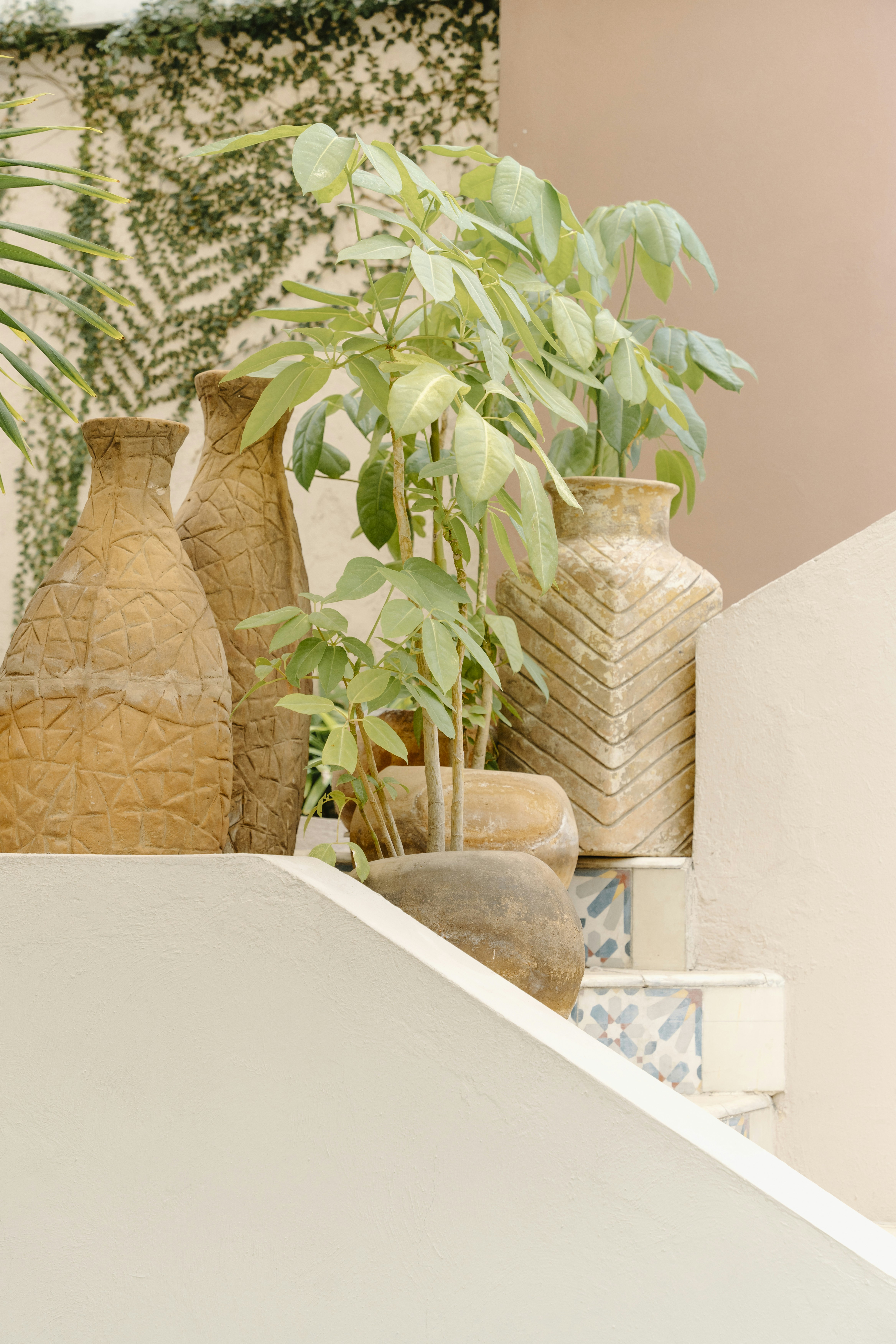 Photo by brunocervera