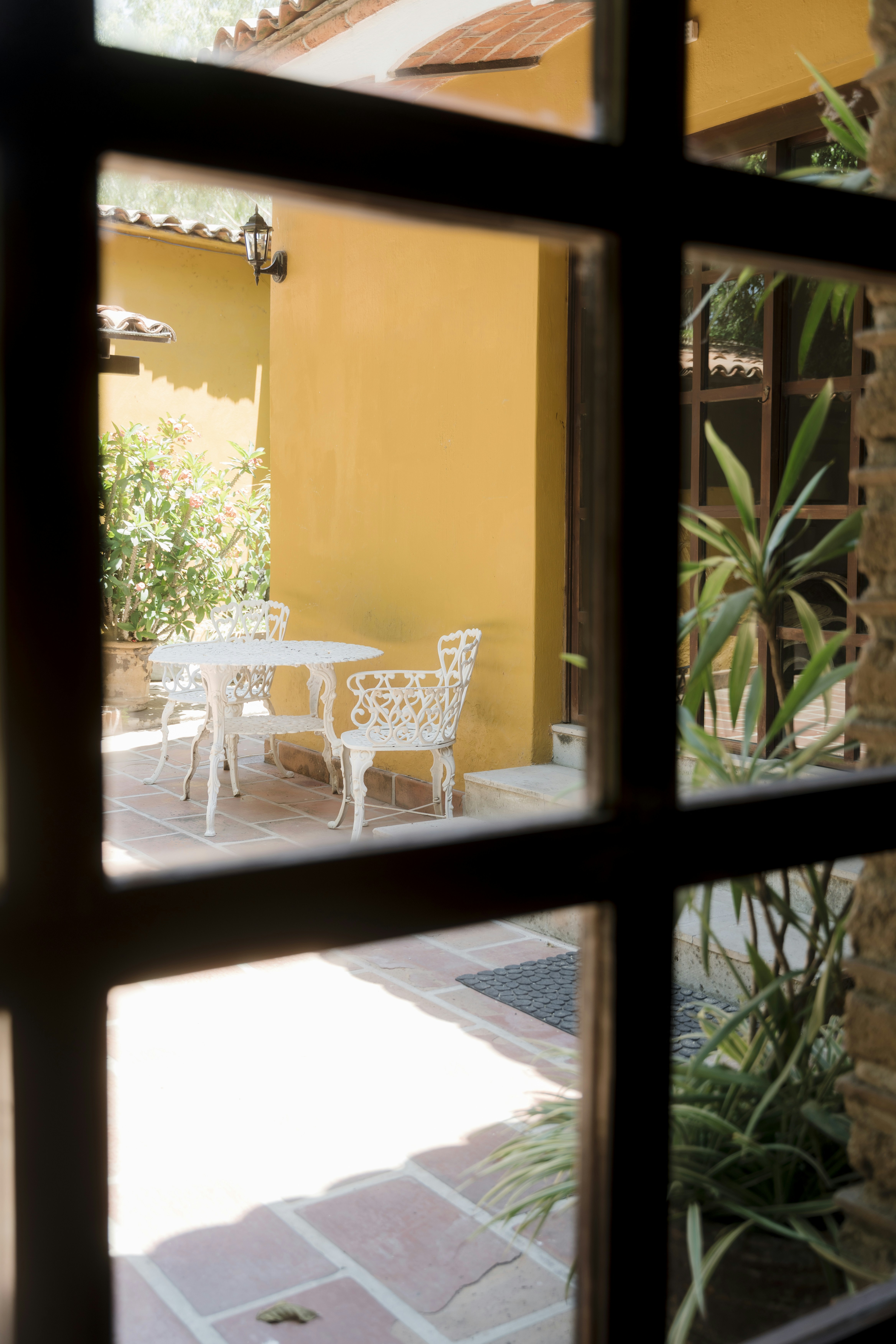 Photo by brunocervera