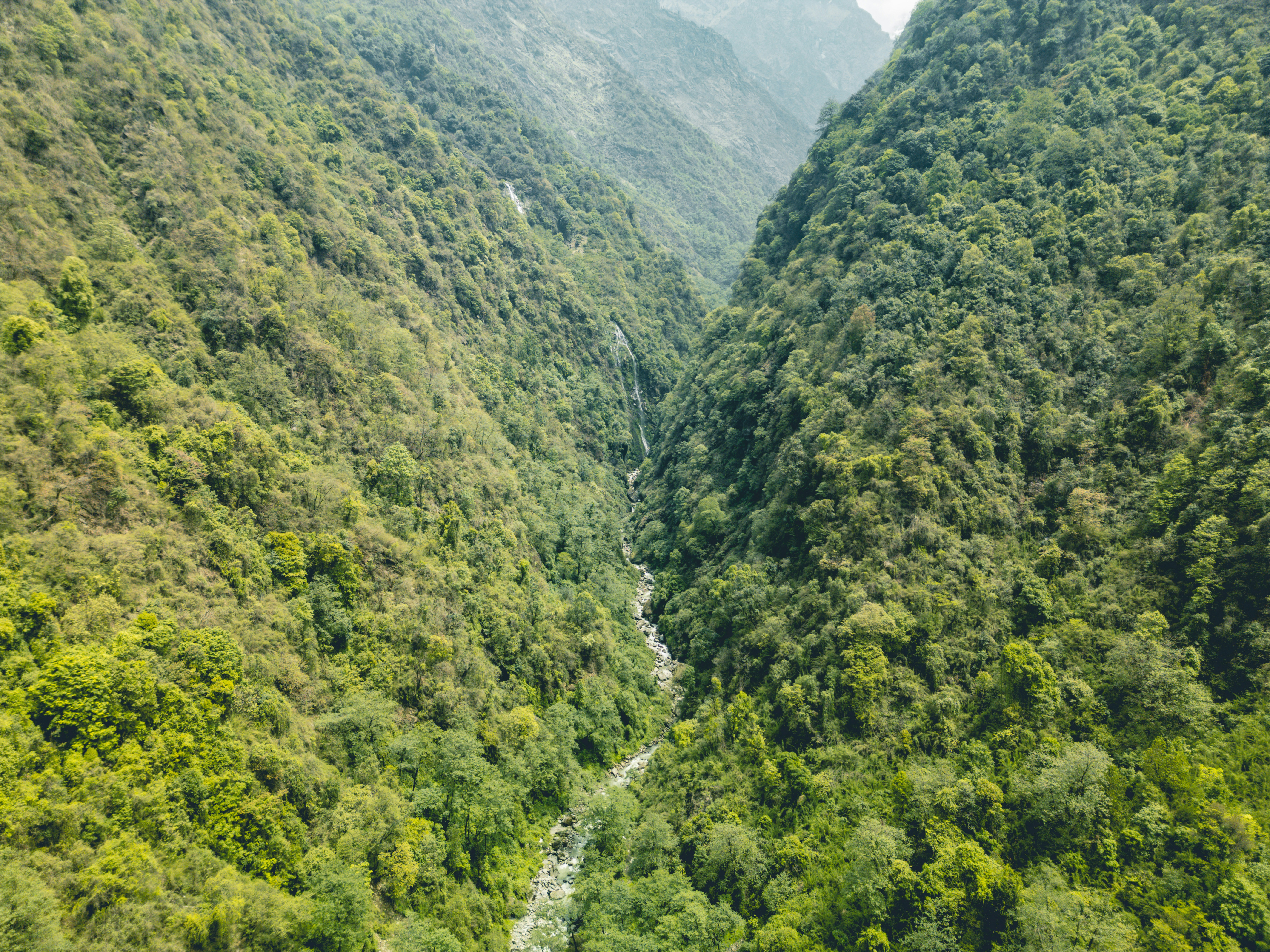 Photo by abdulkayum97