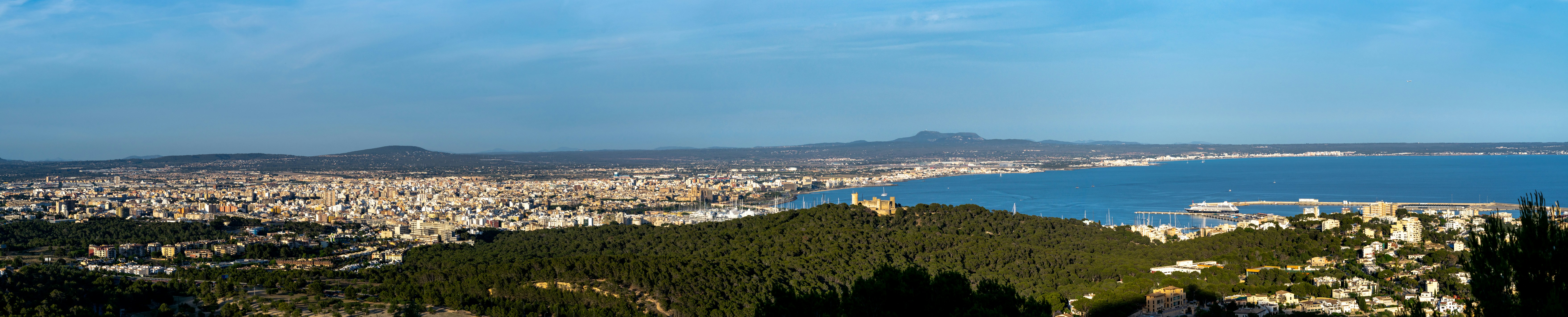 a panoramic view of a city and a body of water