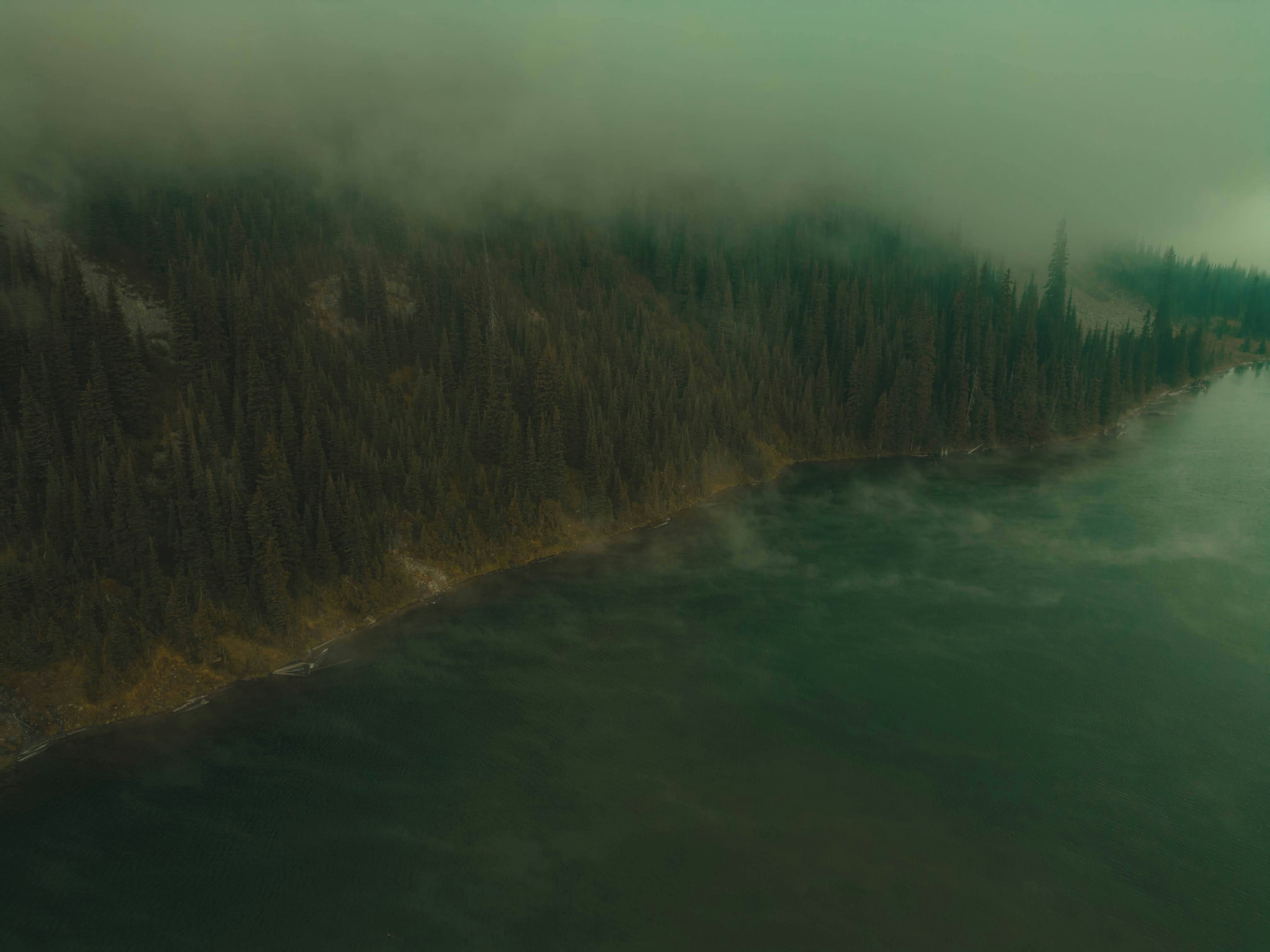 a large body of water surrounded by trees