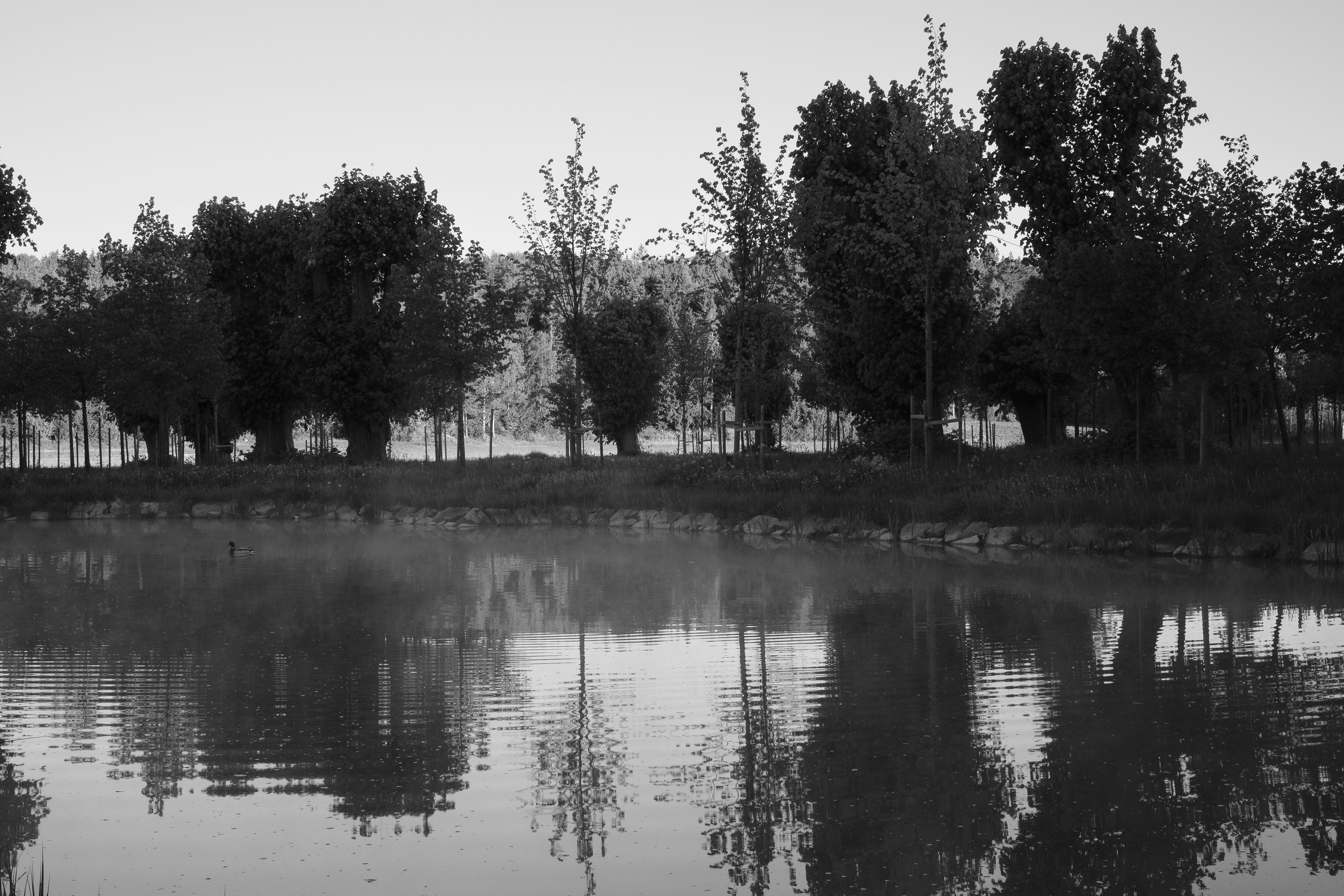 Photo by abstract_black_and_white