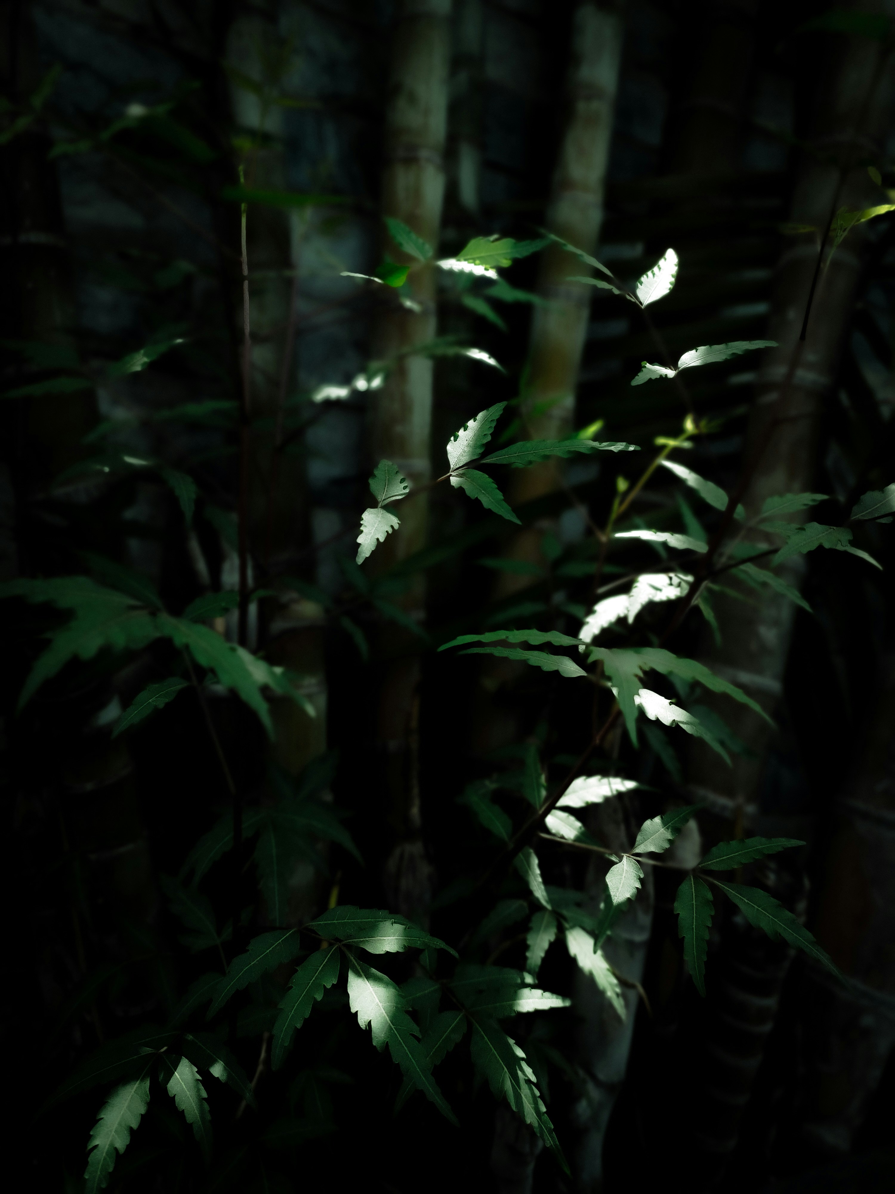 Photo by cooltsukki_18