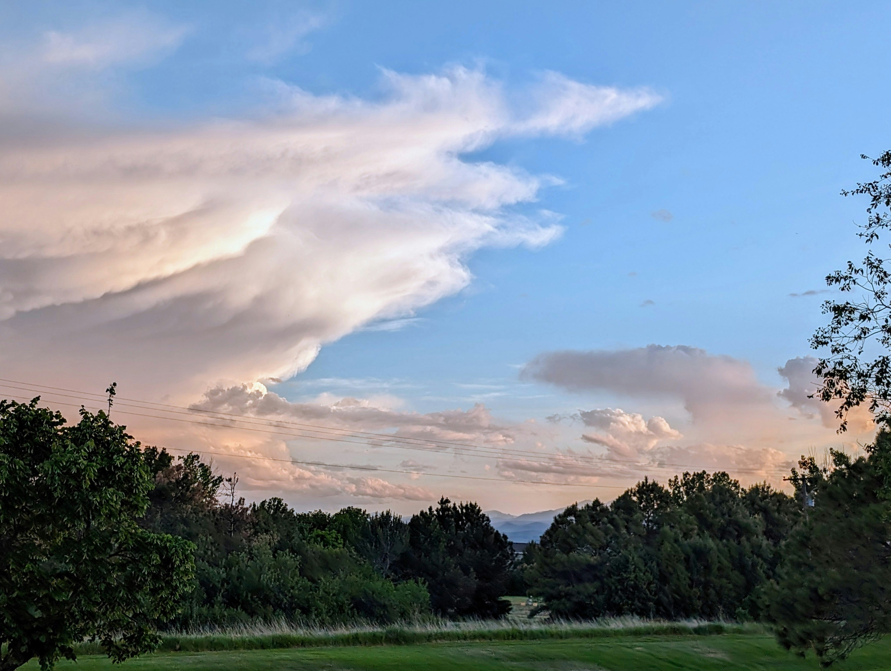 a field with trees and a sky filled with clouds