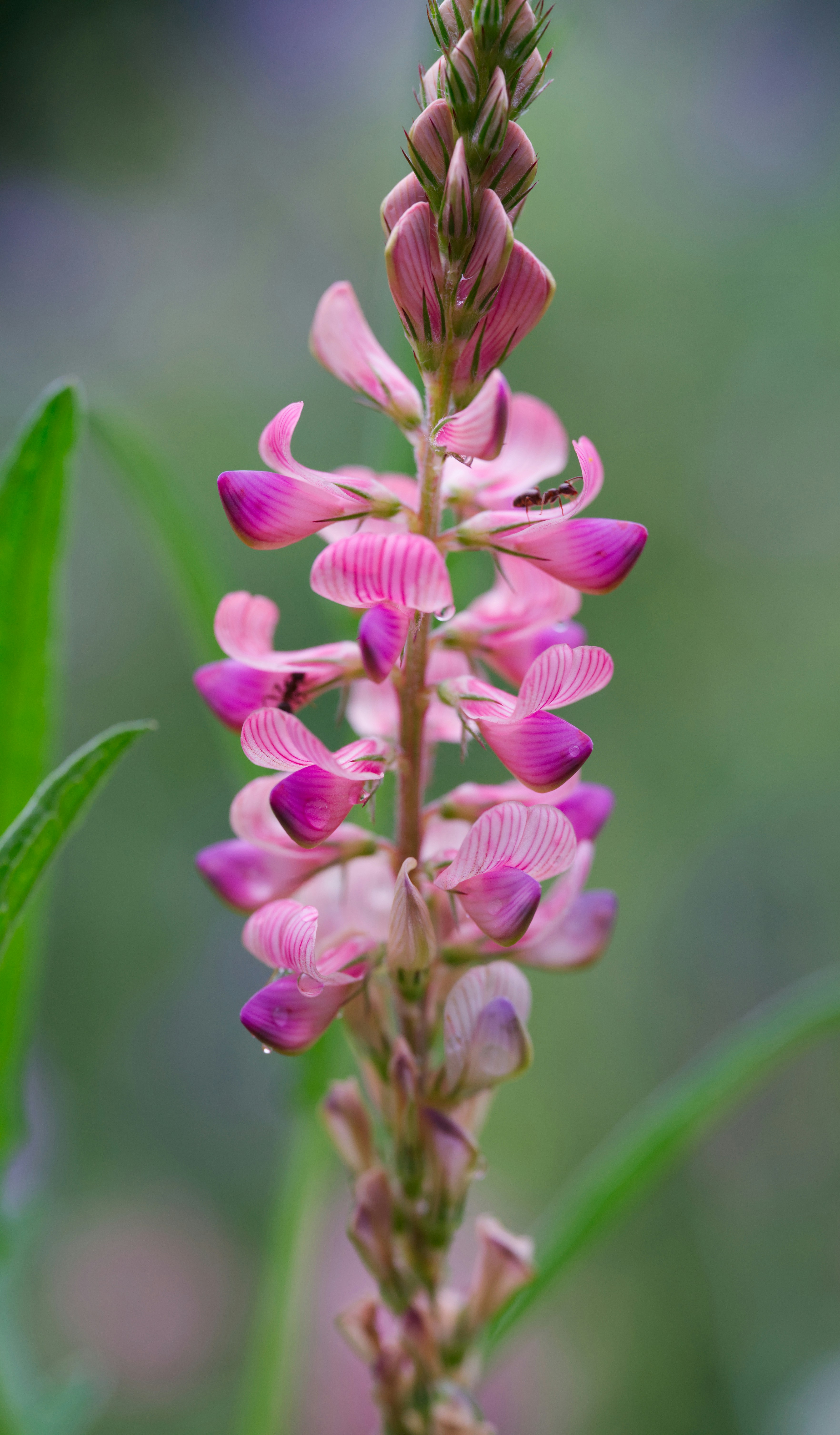 Photo by swimstaralex