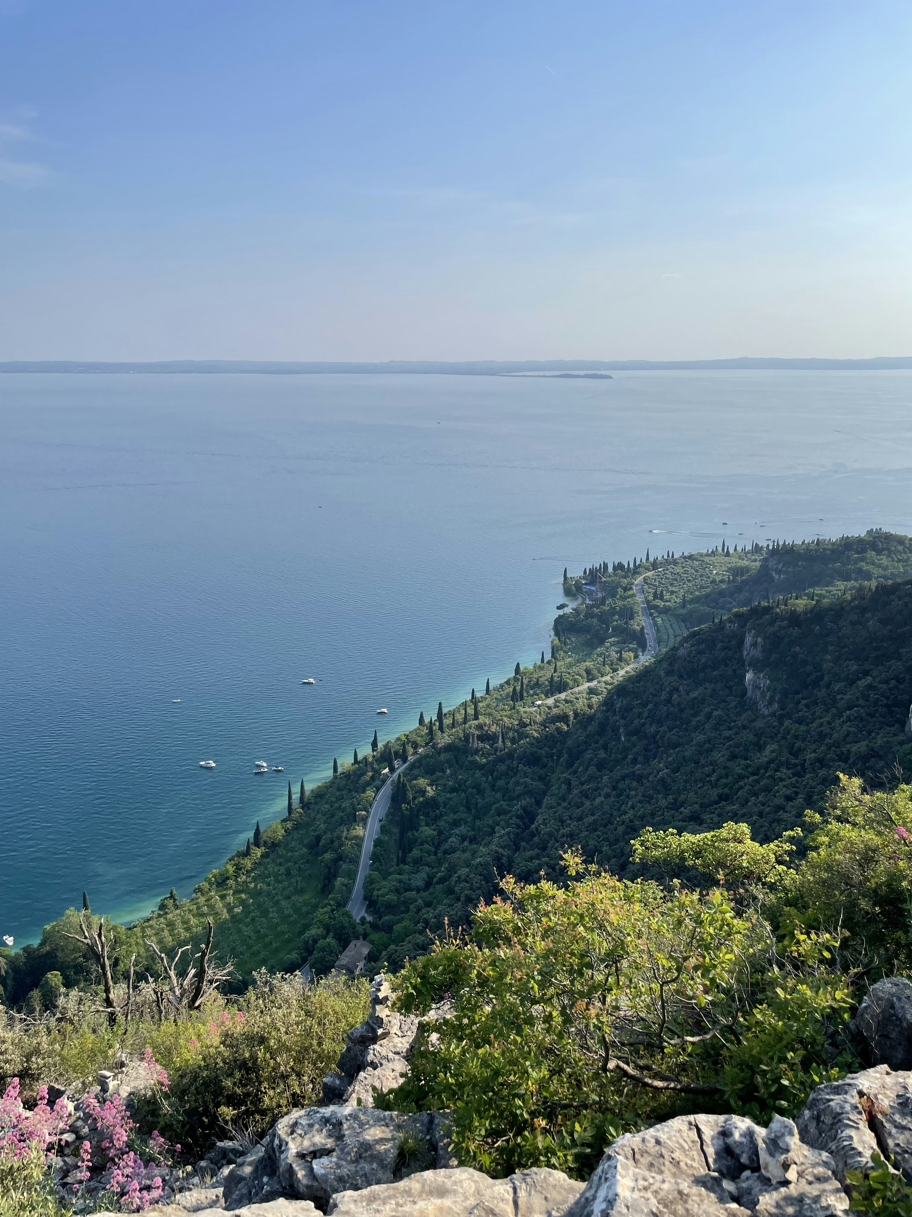 Photo by michaelmartinelli