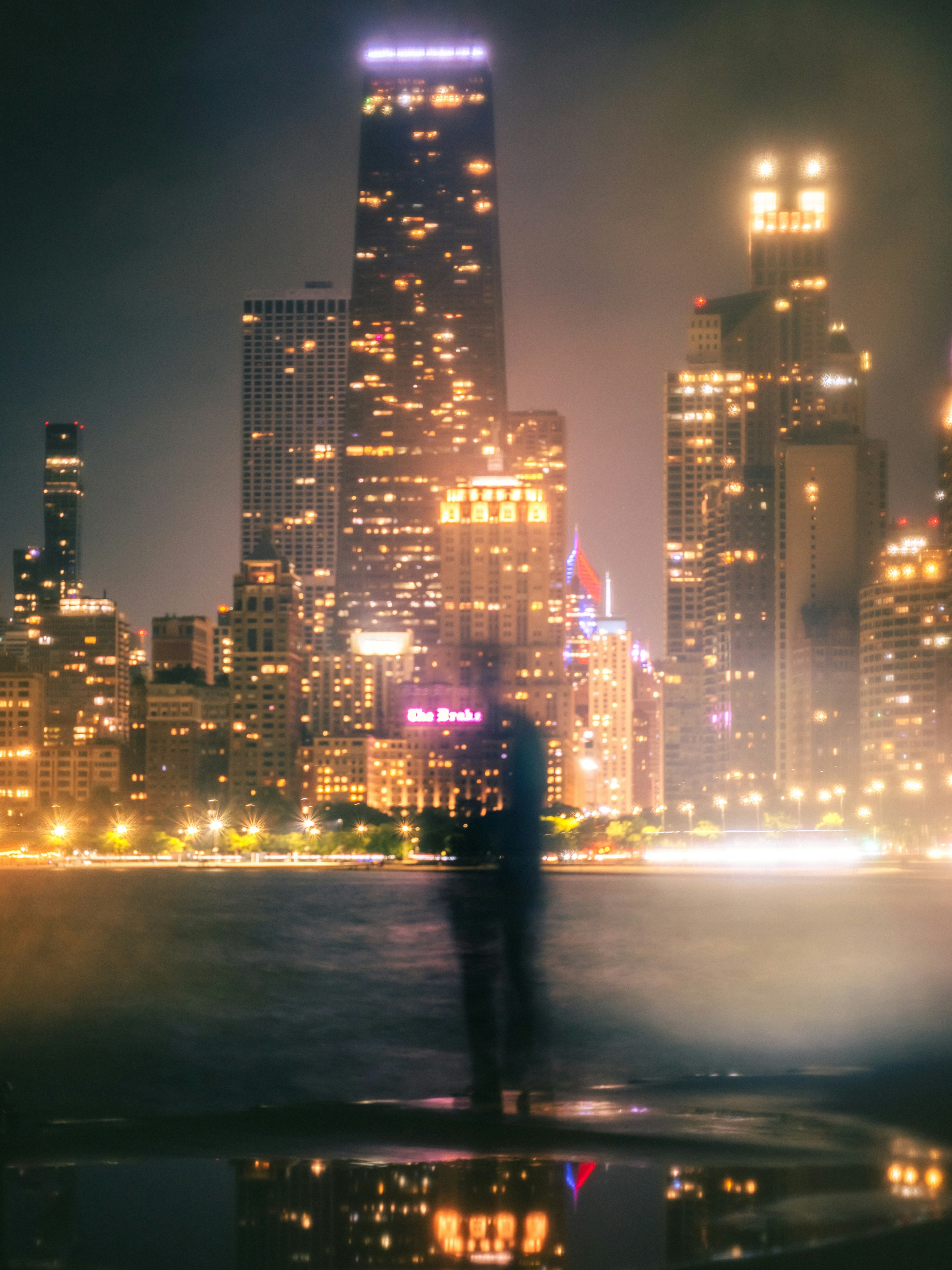 a person standing in front of a city at night
