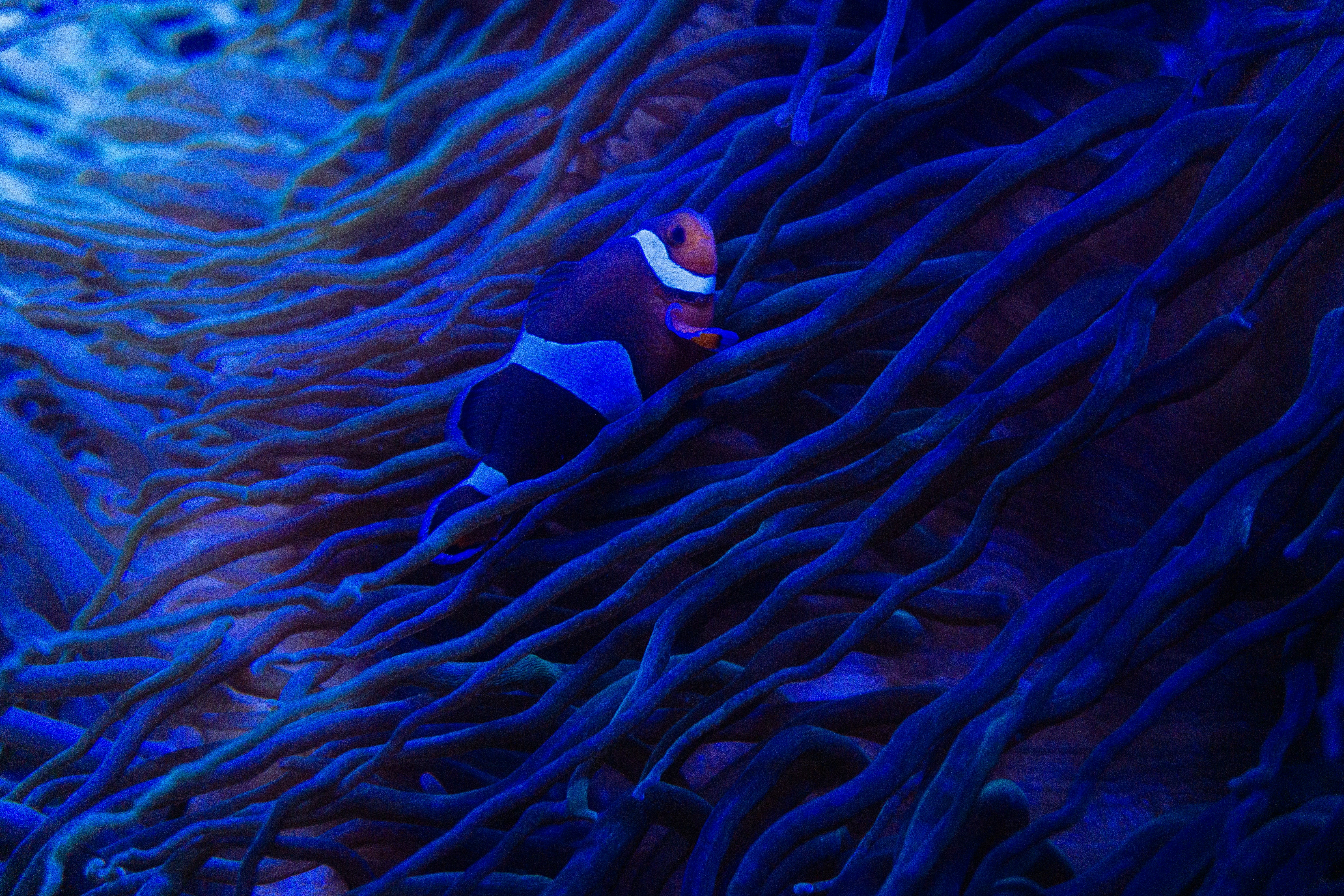 Photo by sindy_suessengut