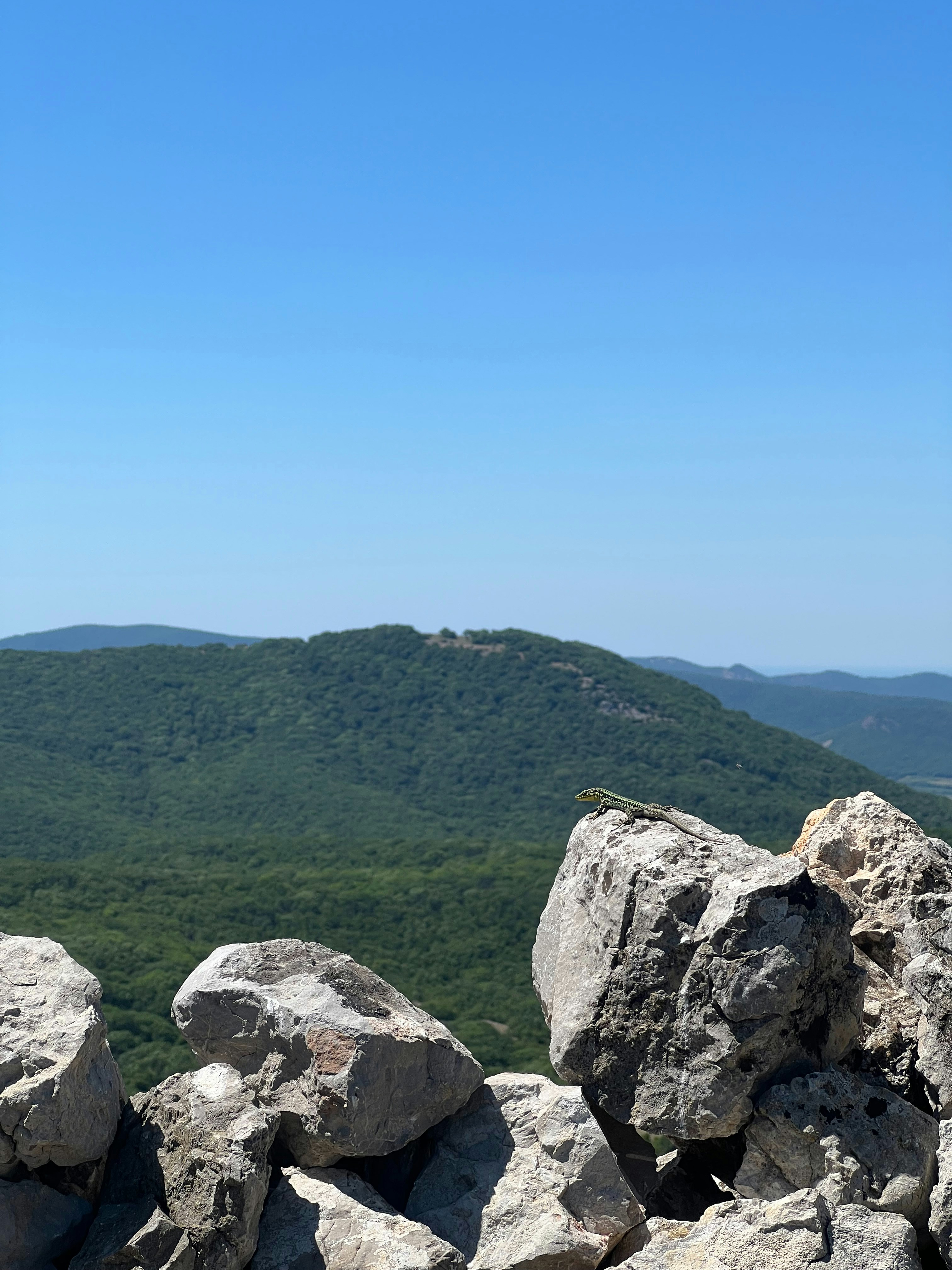 Photo by s_kleschevskii