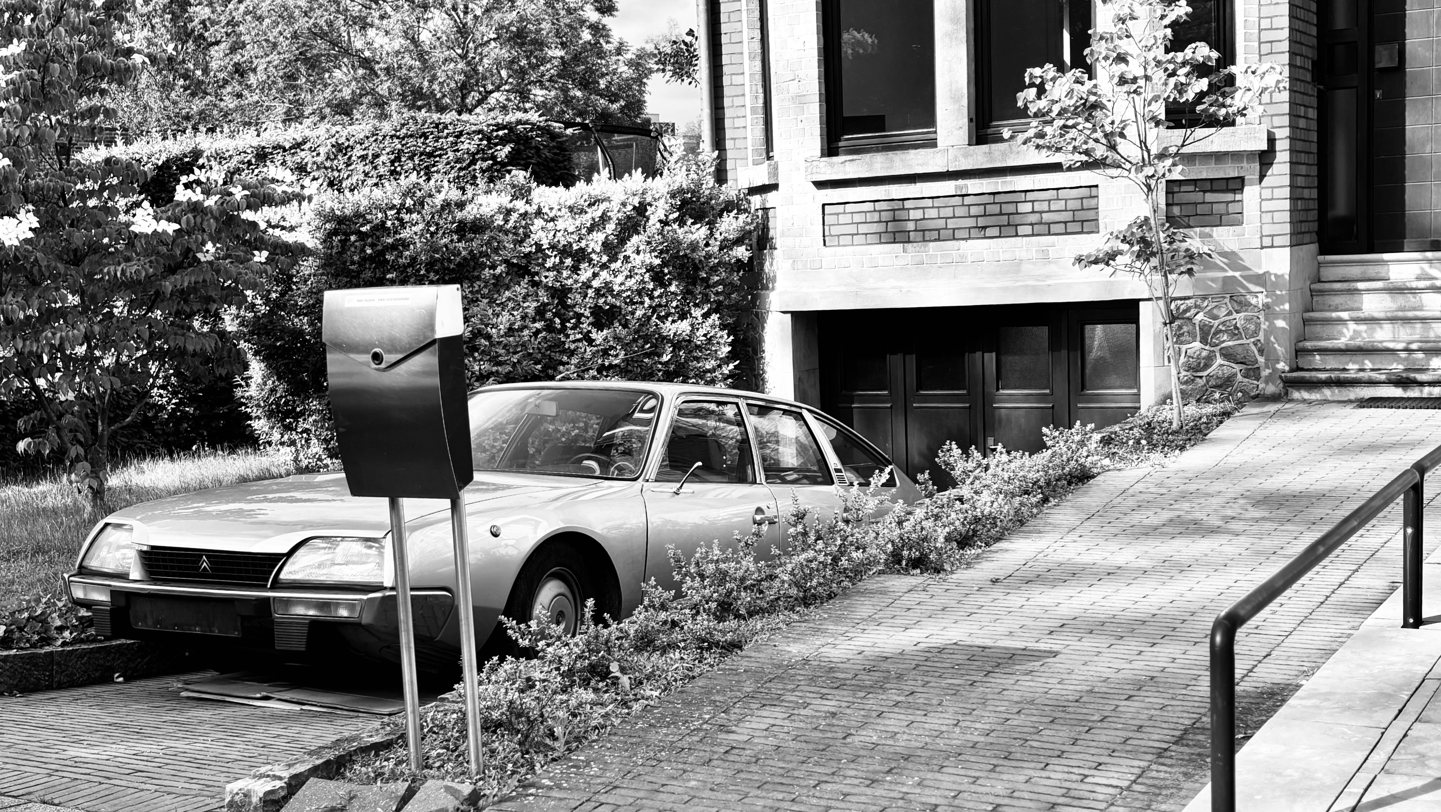 Photo by mehrdadbadiei