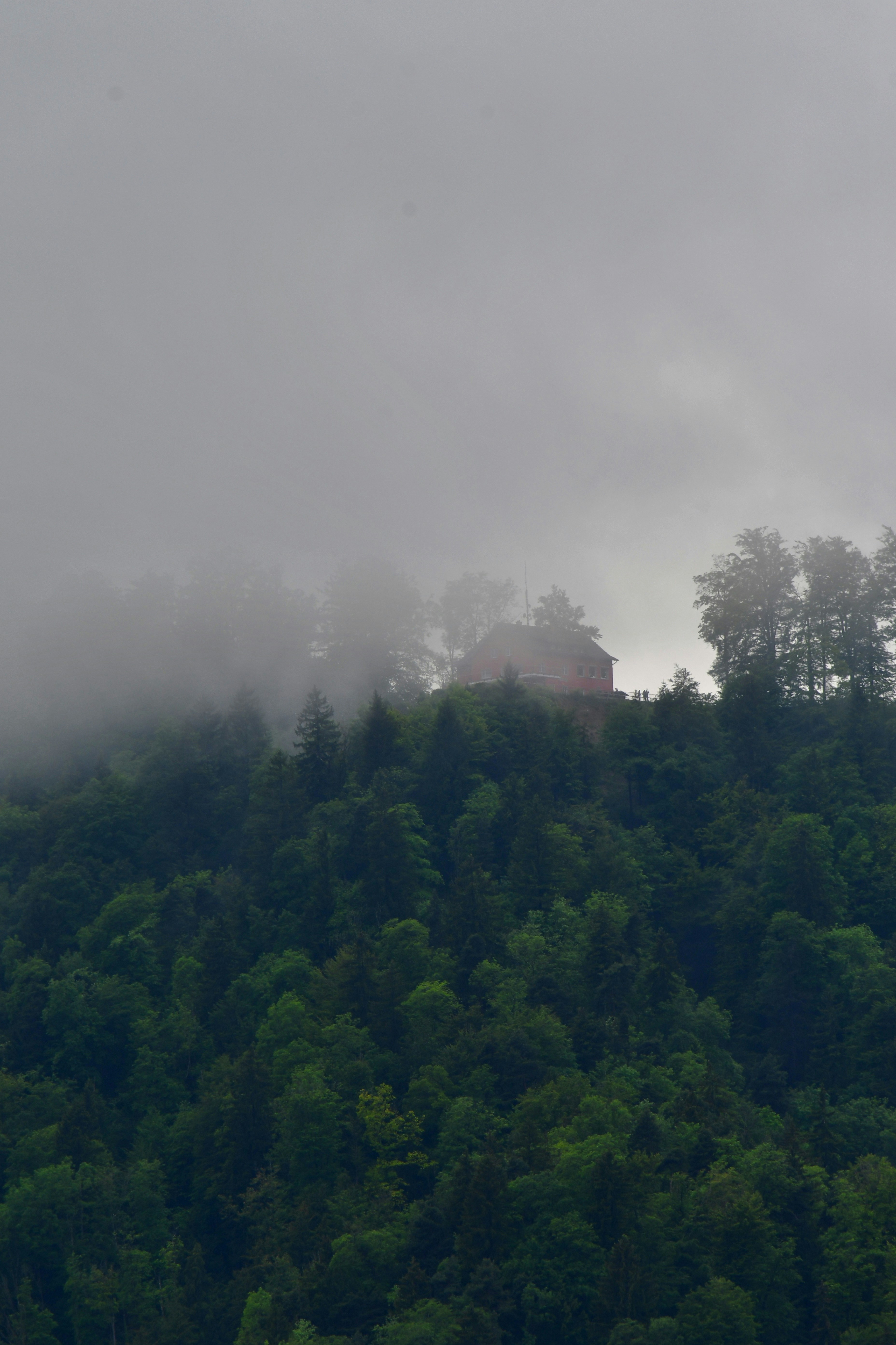 Photo by pedrino5_official