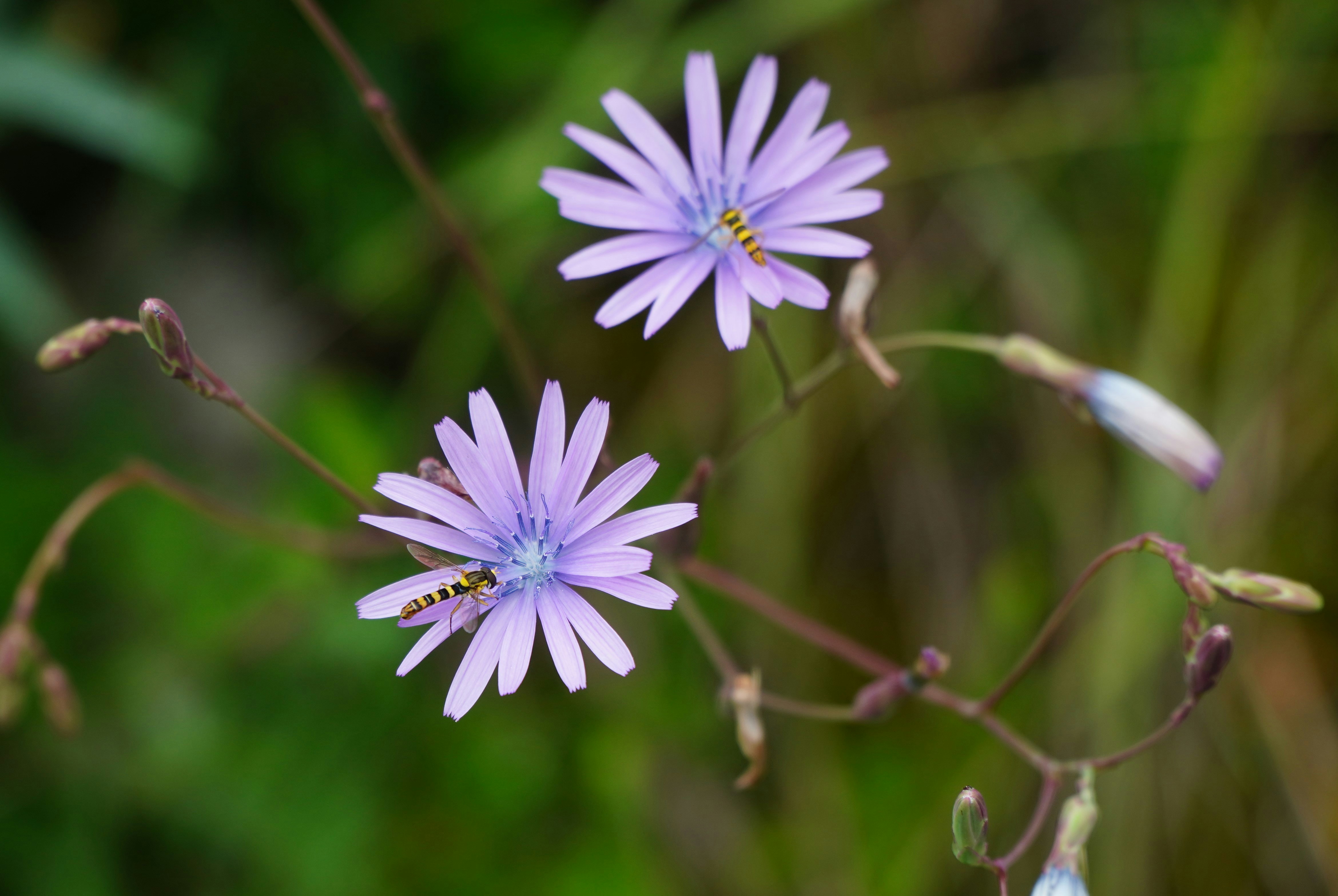 Photo by wholenewworldphoto