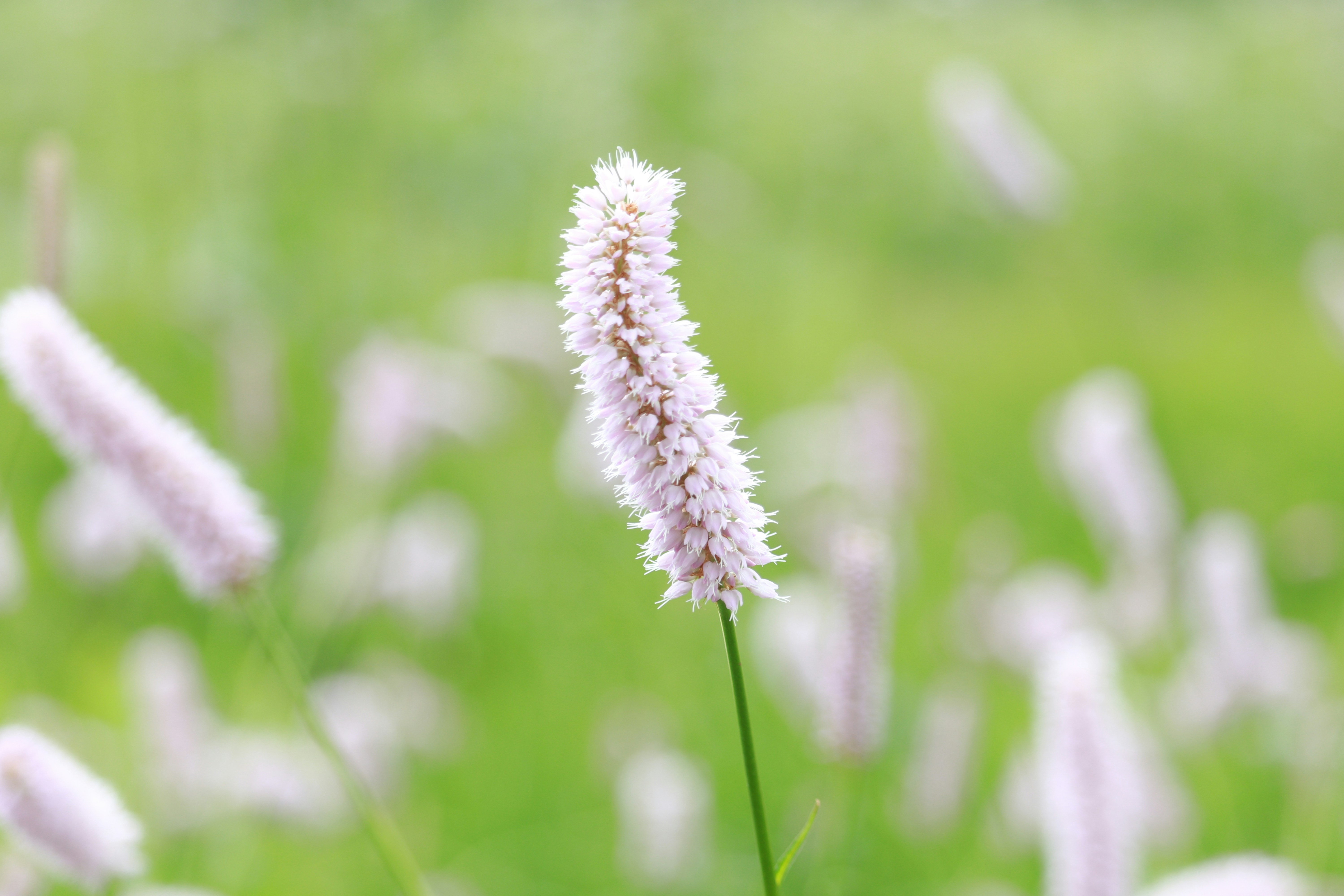 Photo by dhruv_padaliya