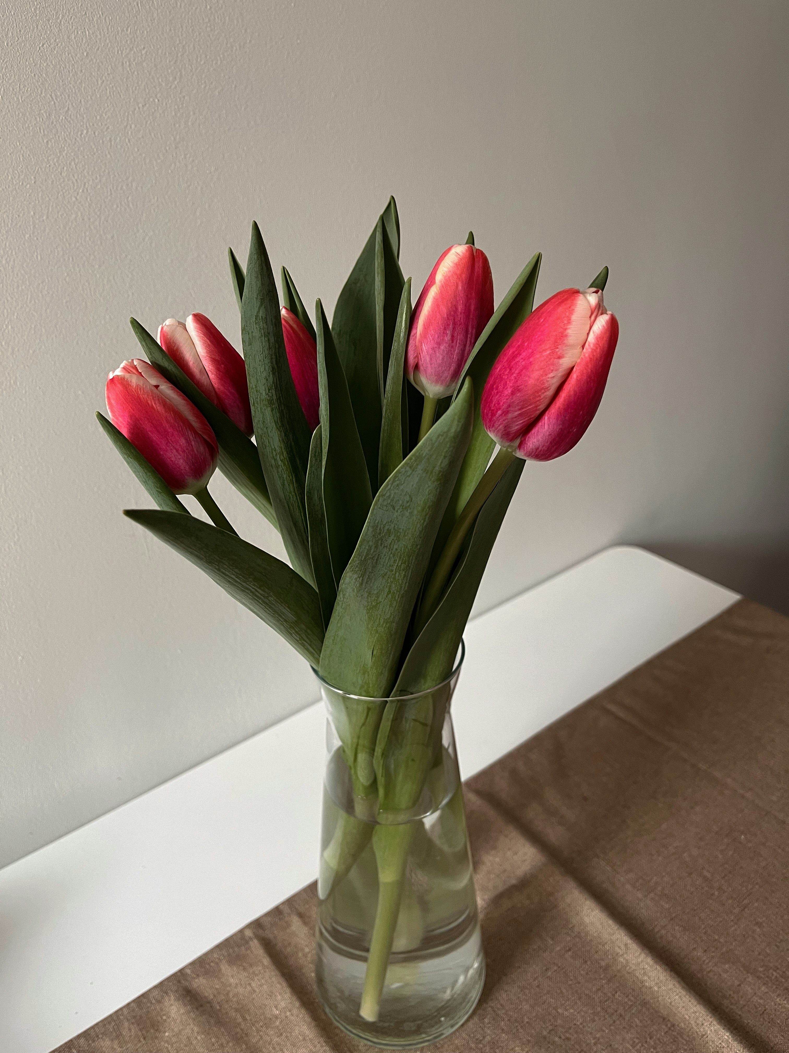 Photo by vanyurvivien