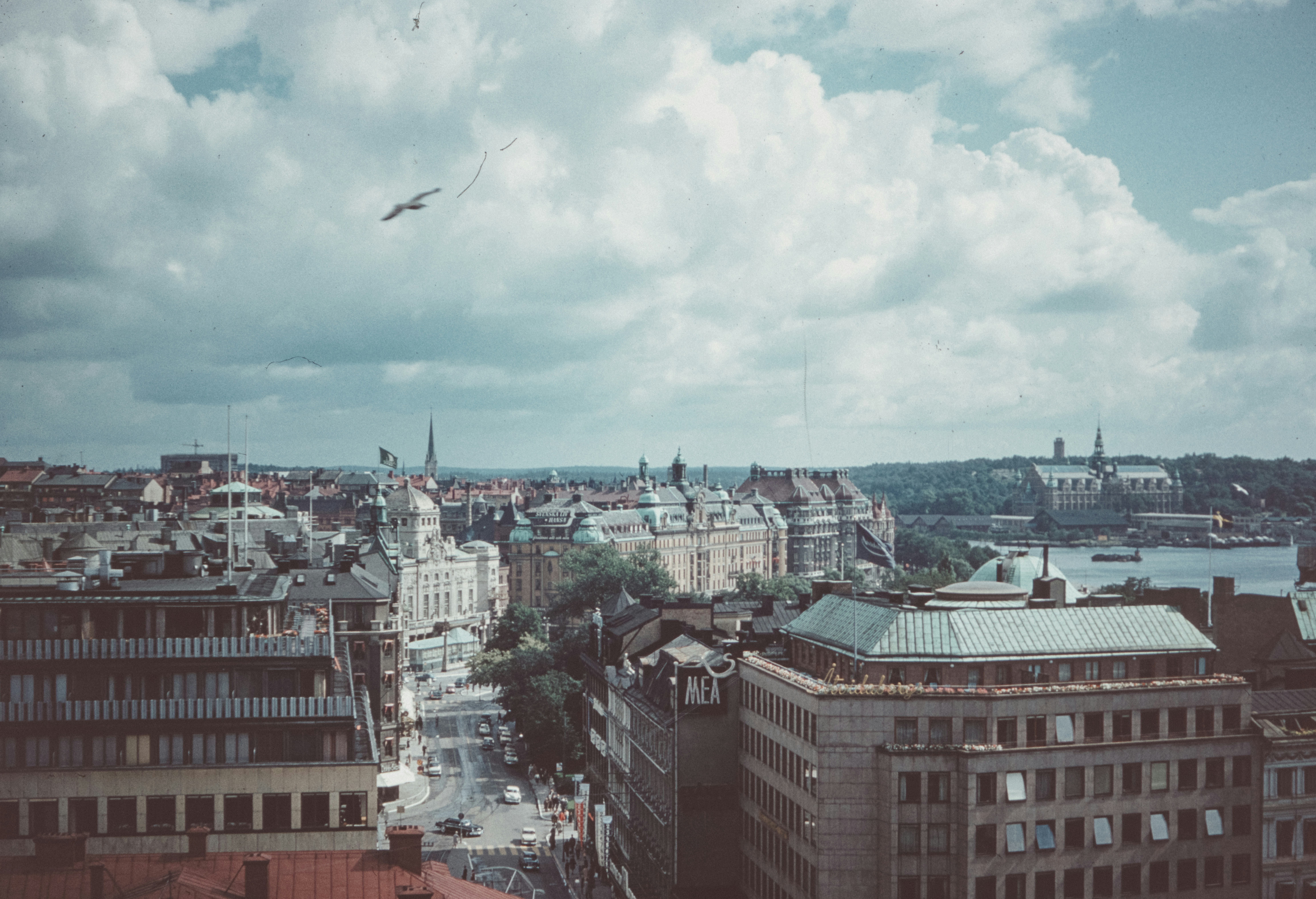 Photo by anniespratt