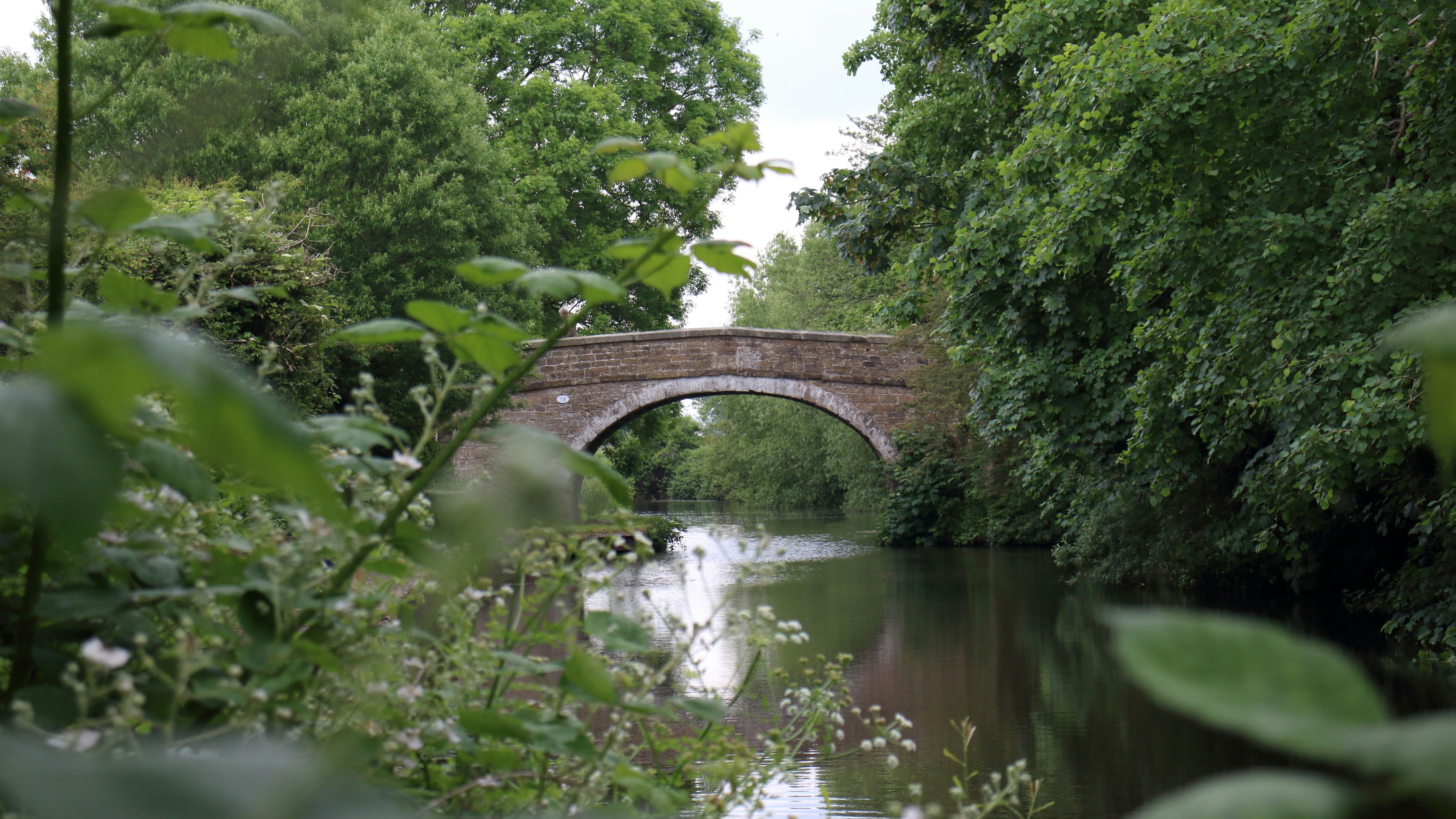 Photo by bloominghyacinth