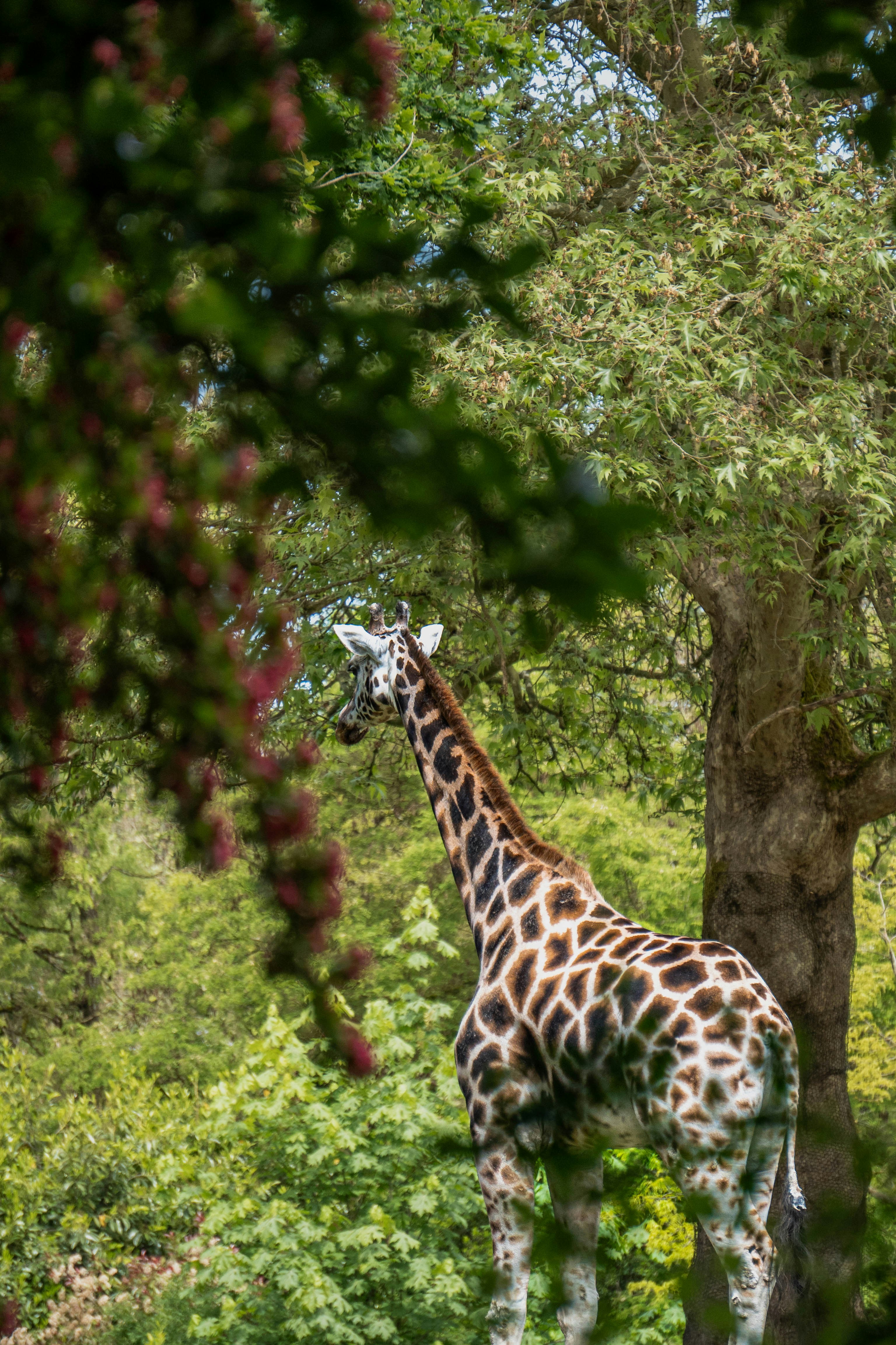 Photo by mariam_doucoure