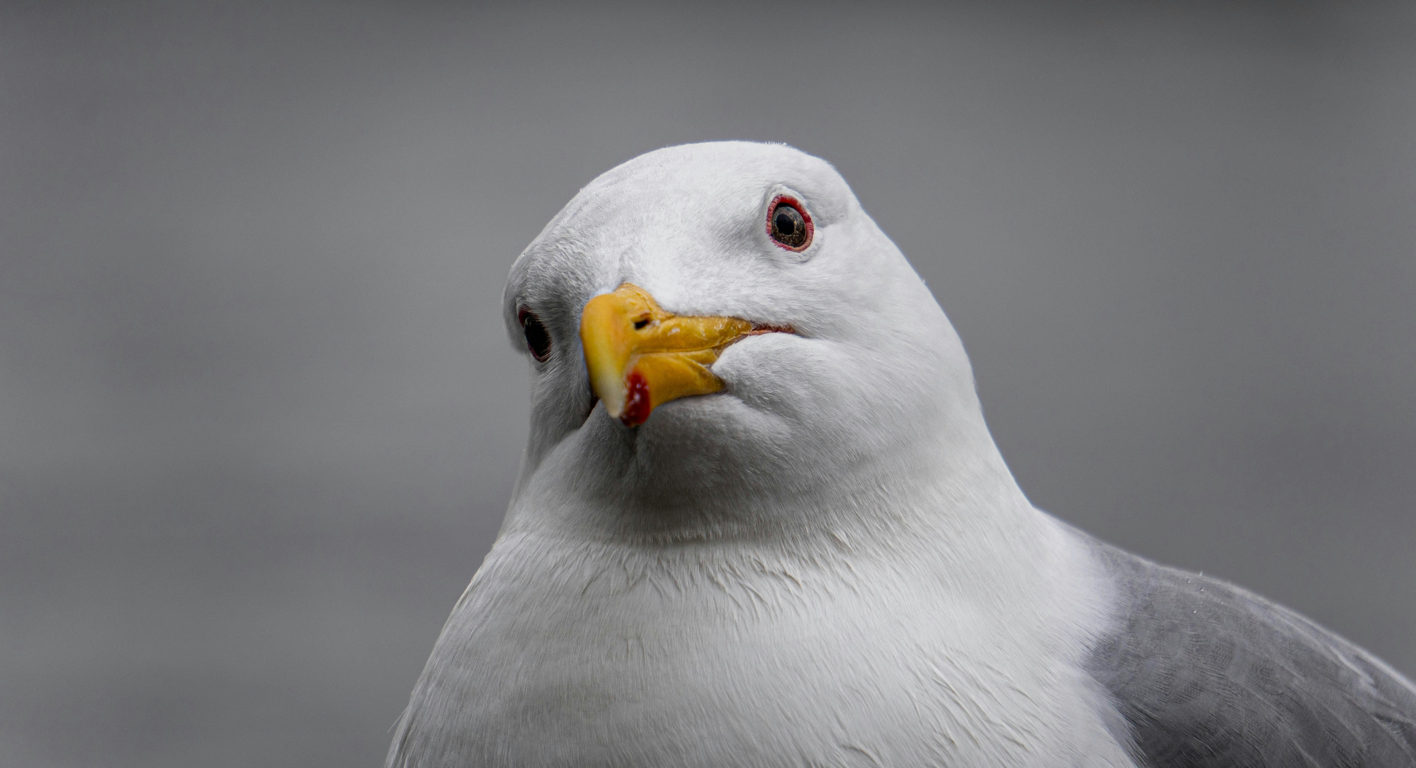 Photo by mariam_doucoure