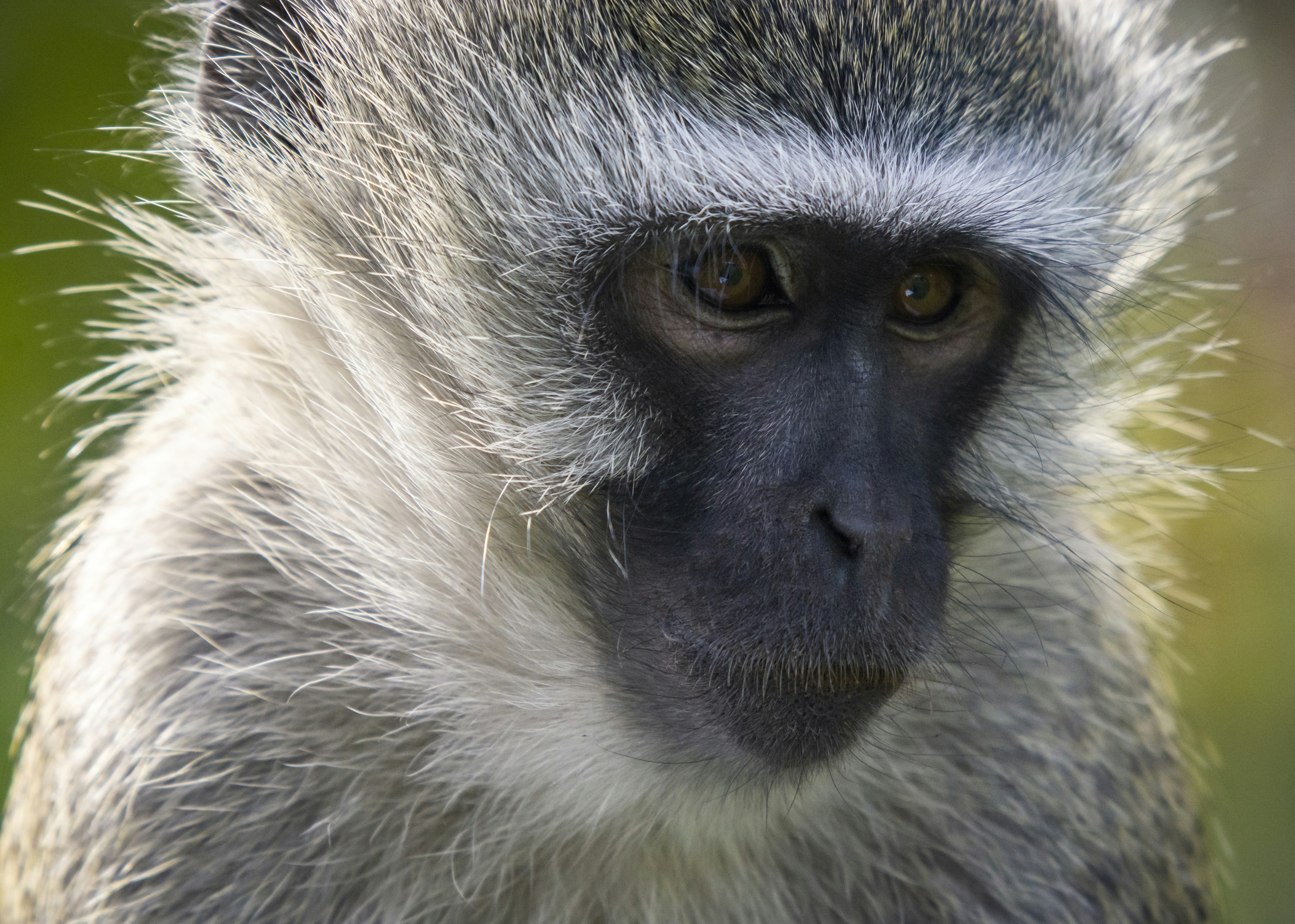 Photo by rene_lehmkuhl