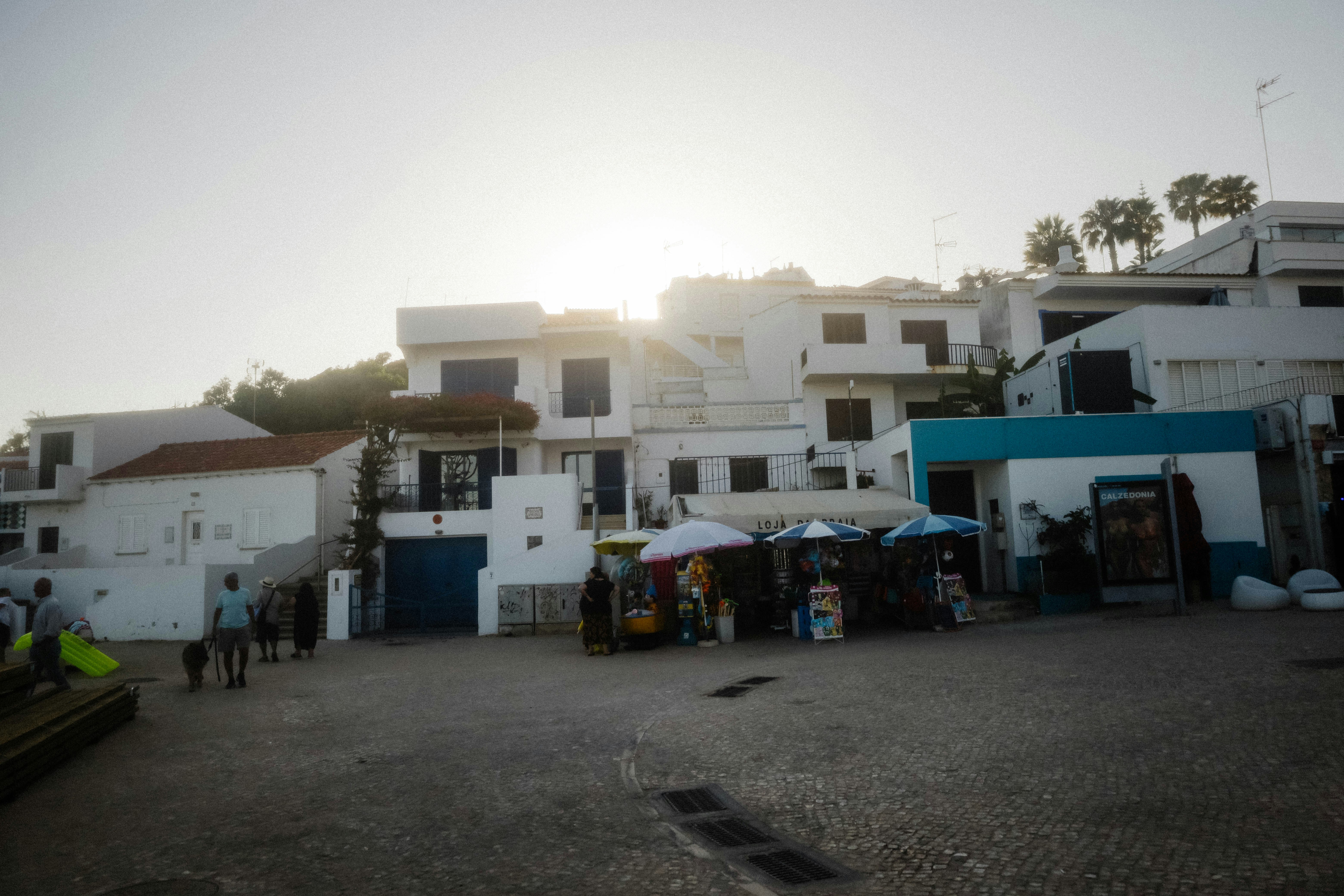 Photo by marianacbras