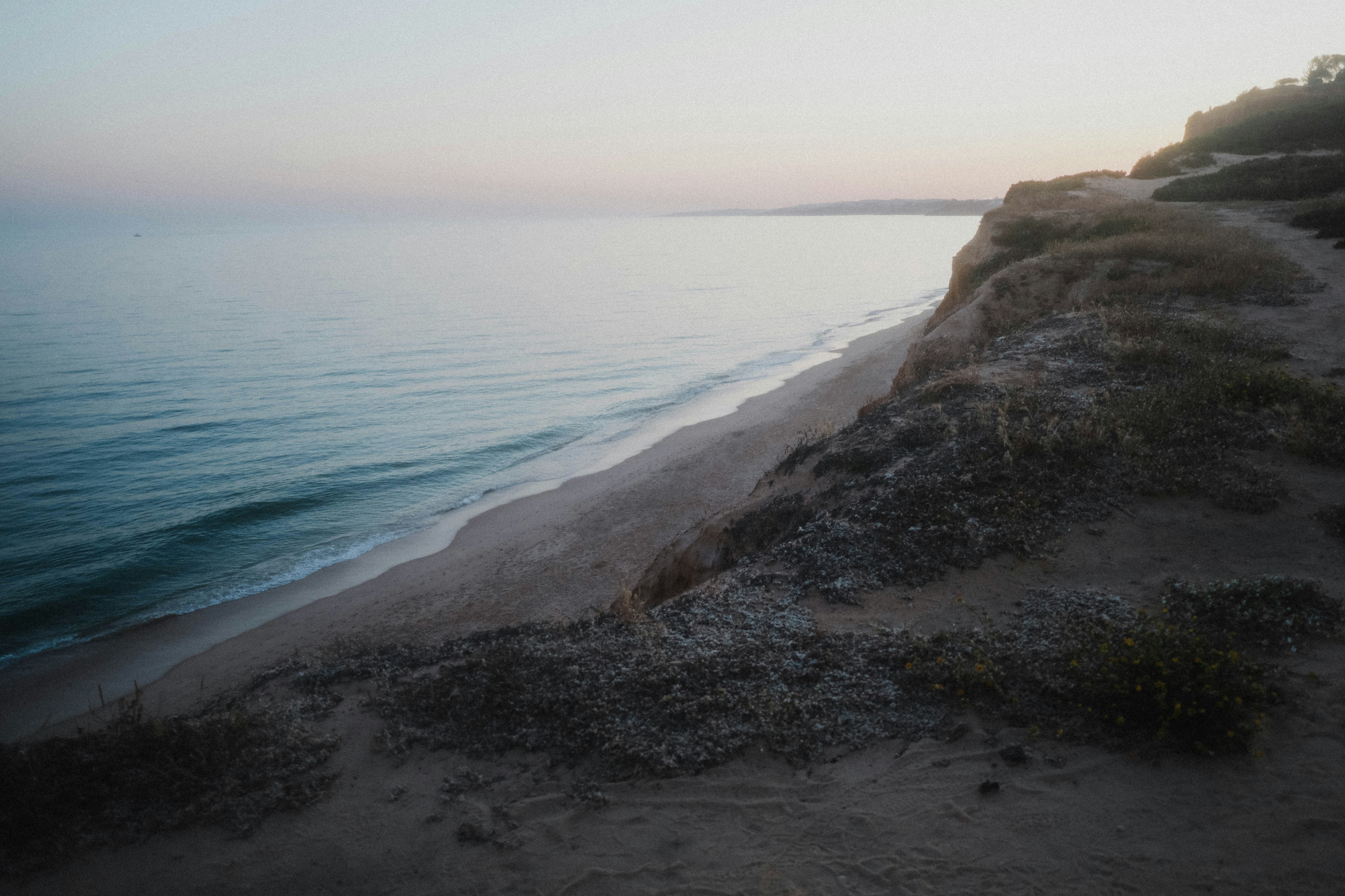 Photo by marianacbras