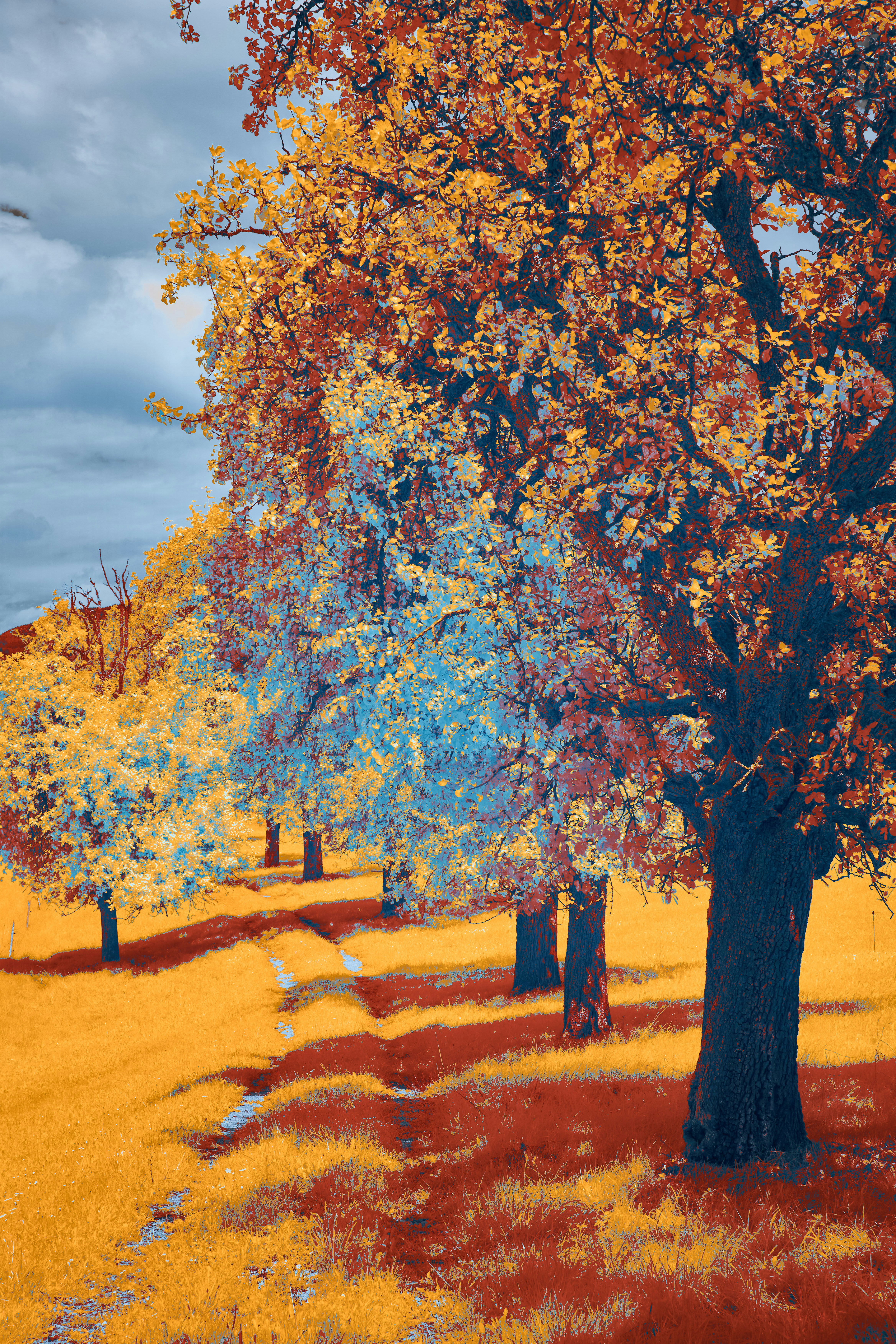 Photo by wolfgang_hasselmann