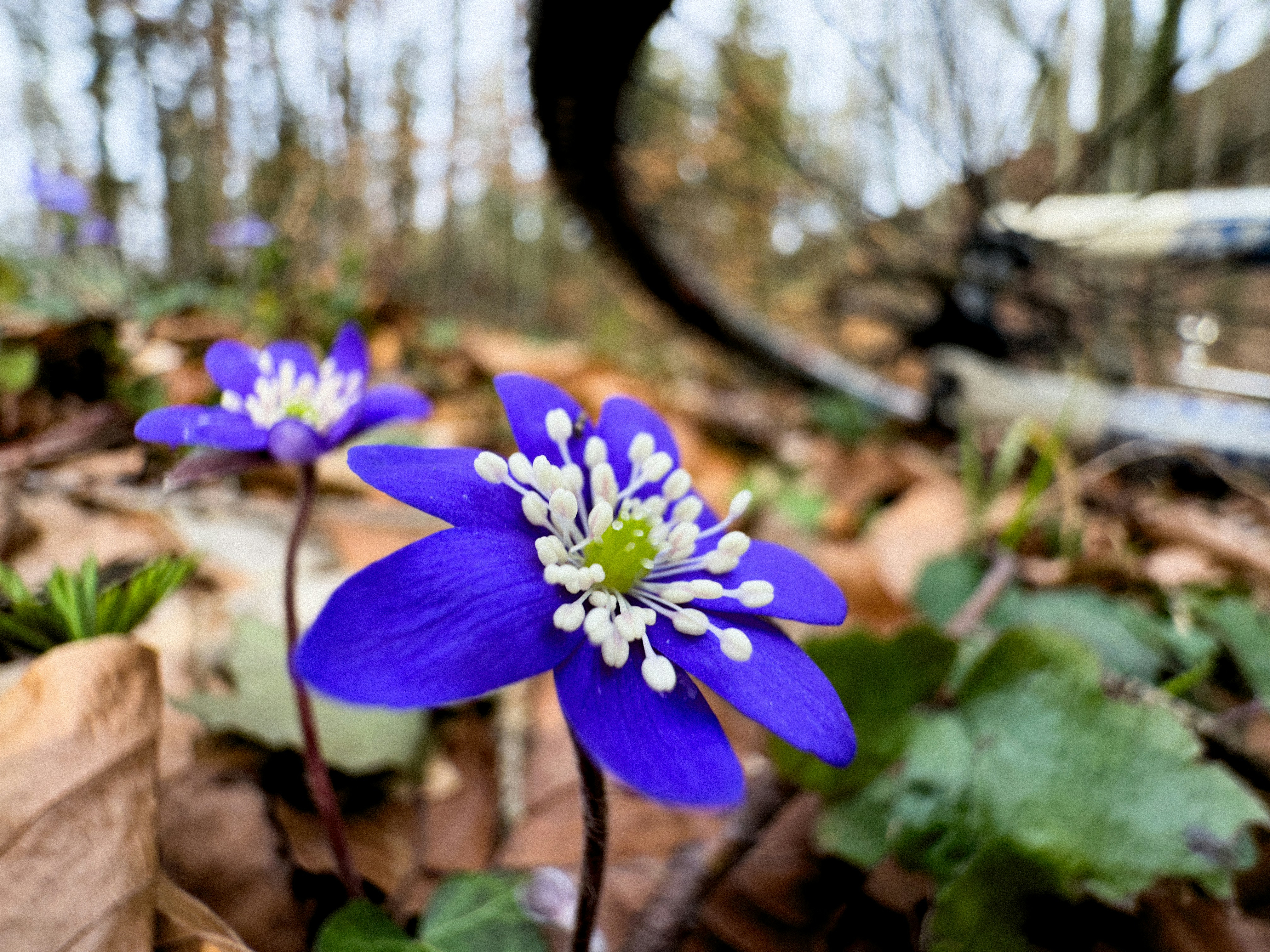 Photo by taaanos