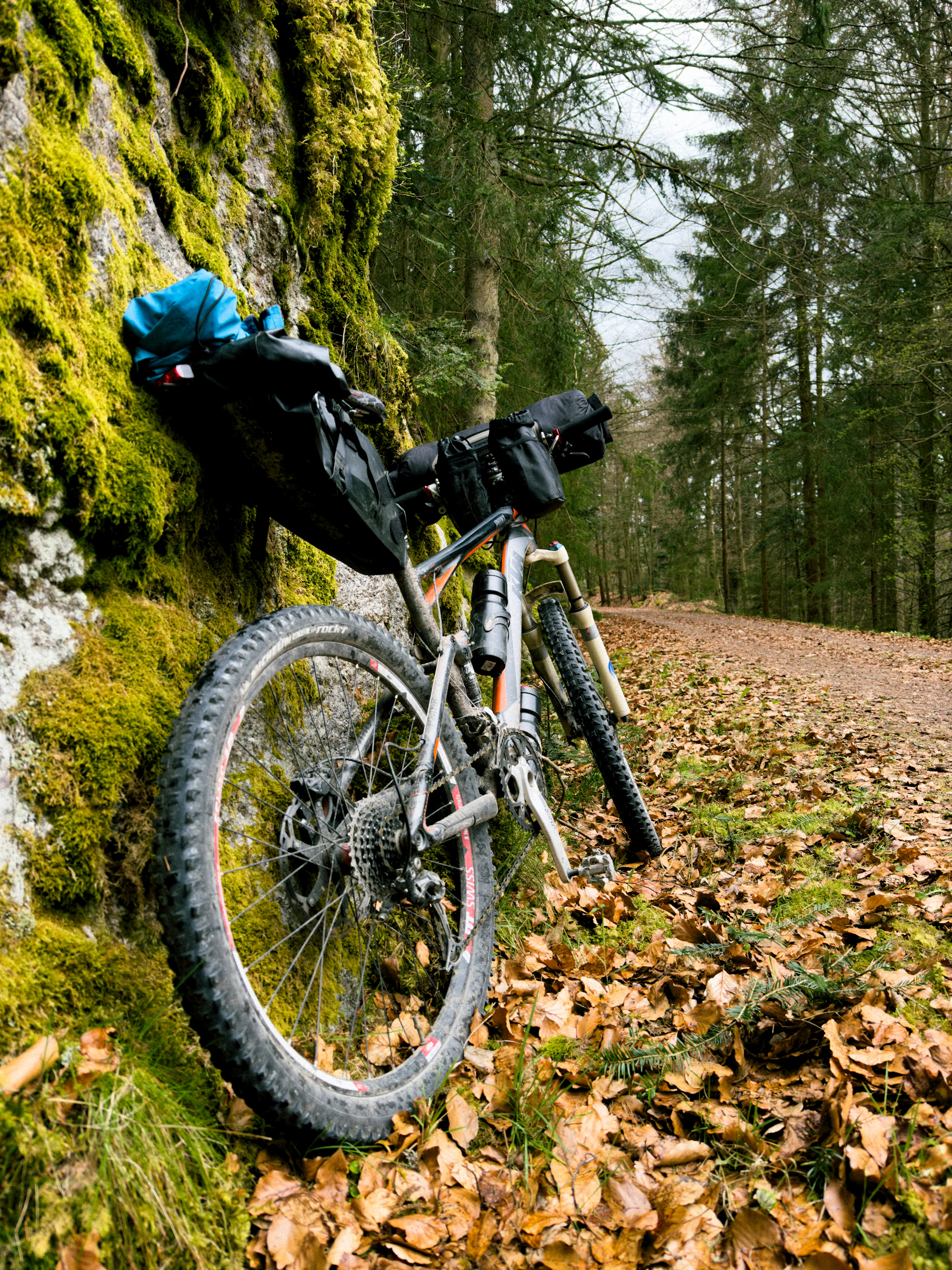 a bicycle parked next to a moss covered wall