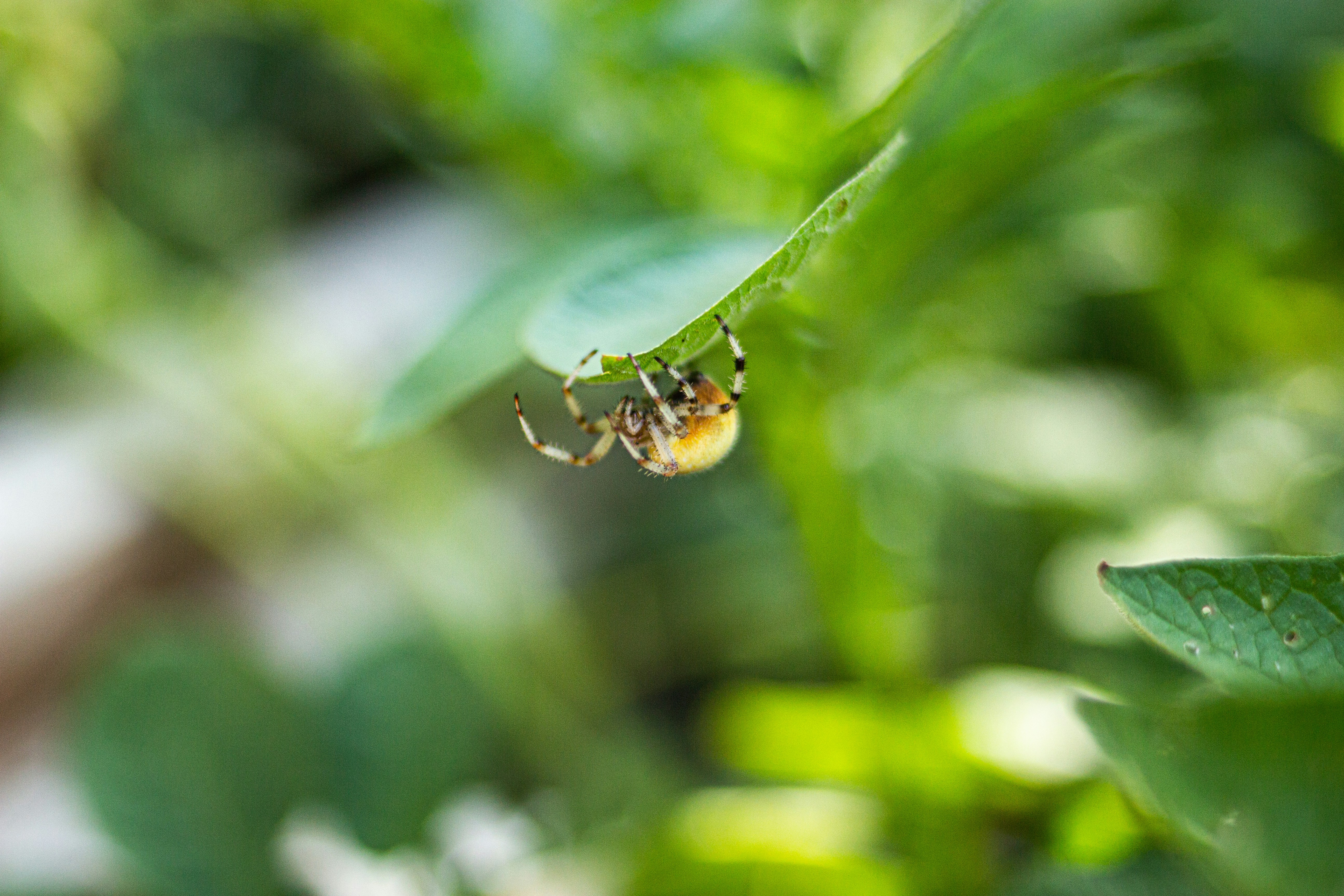 Photo by austinjoyous