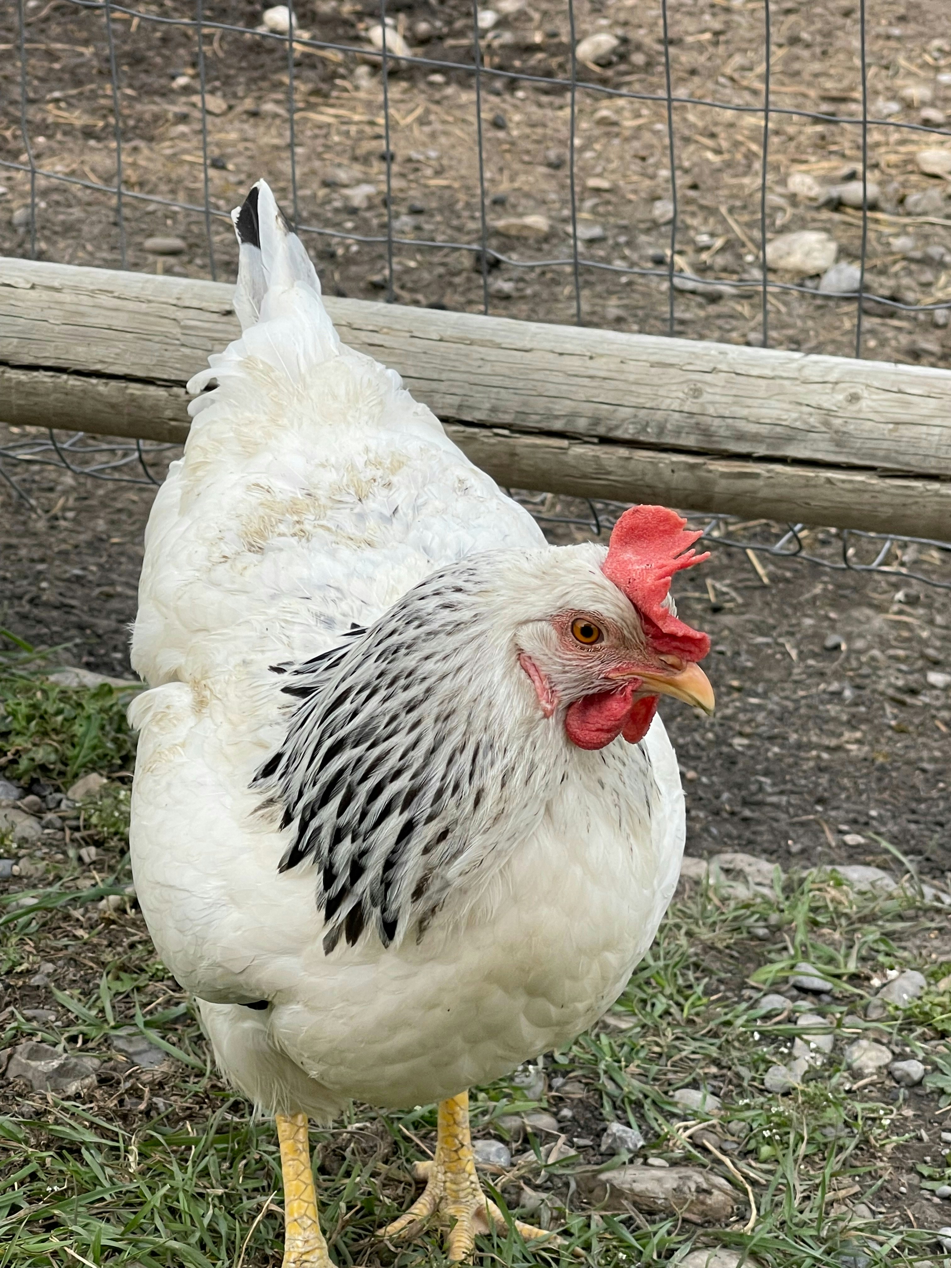 Photo by austinjoyous