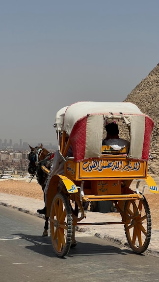 a horse drawn carriage traveling down a road