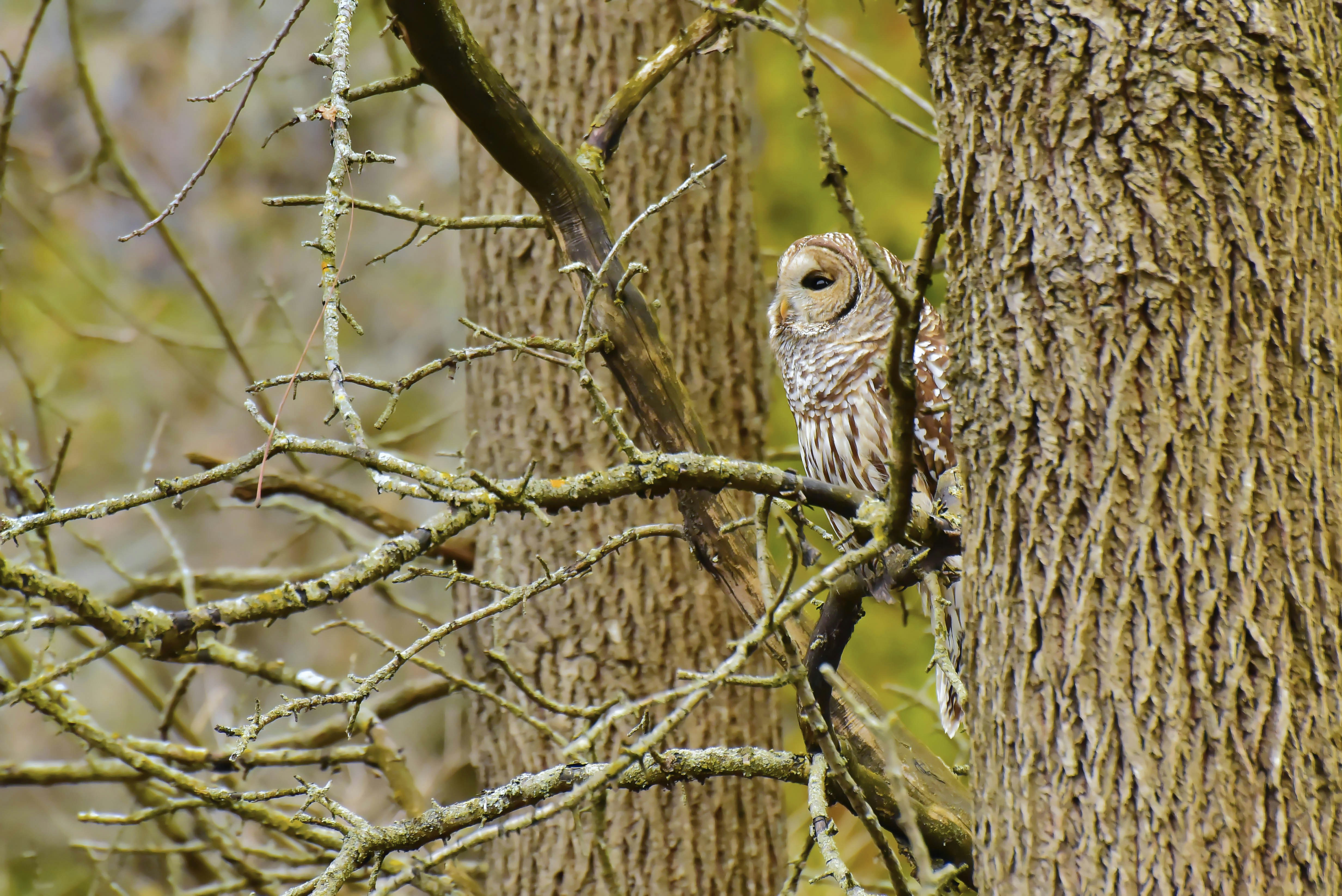 Photo by thenightafterfall