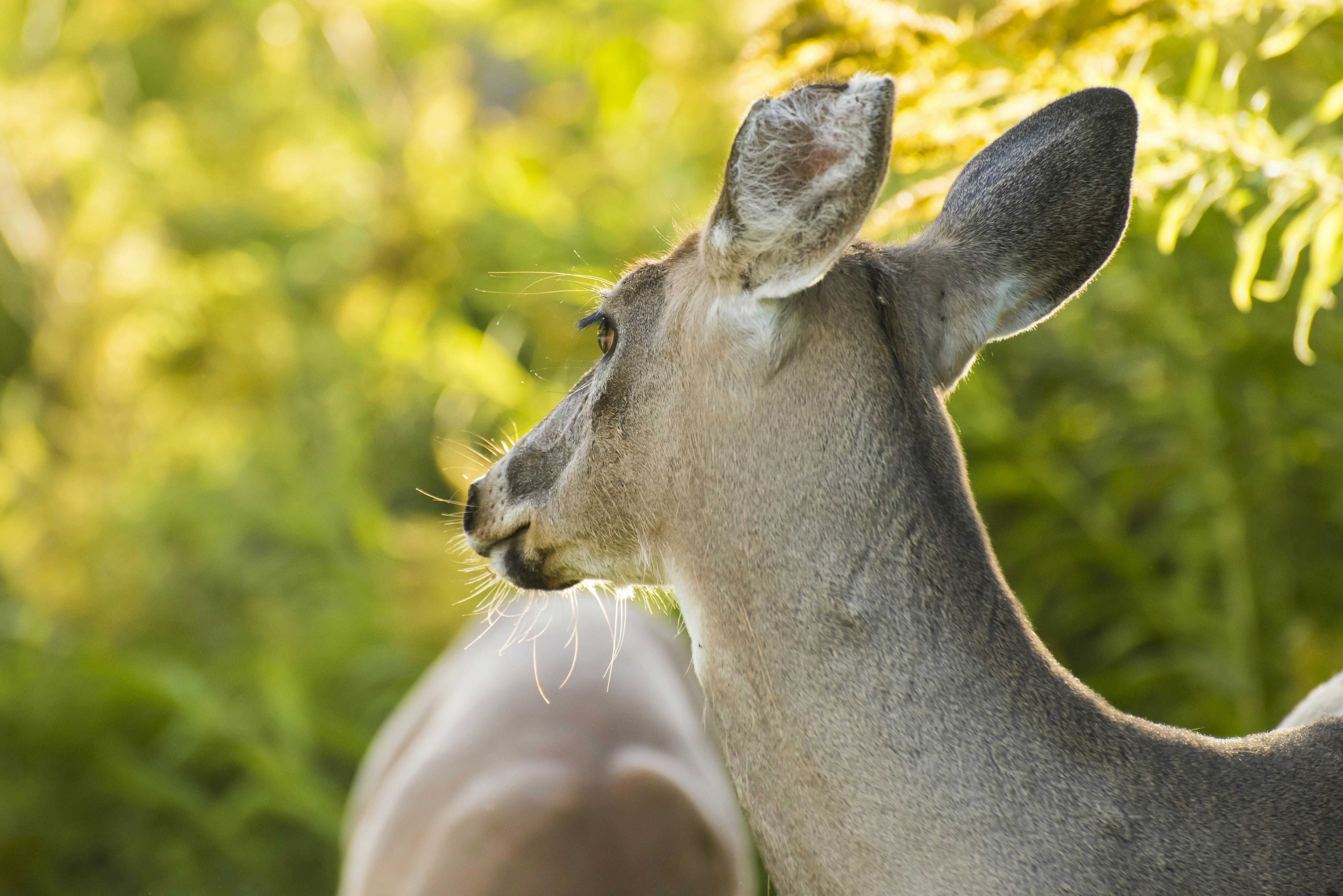 Photo by thenightafterfall