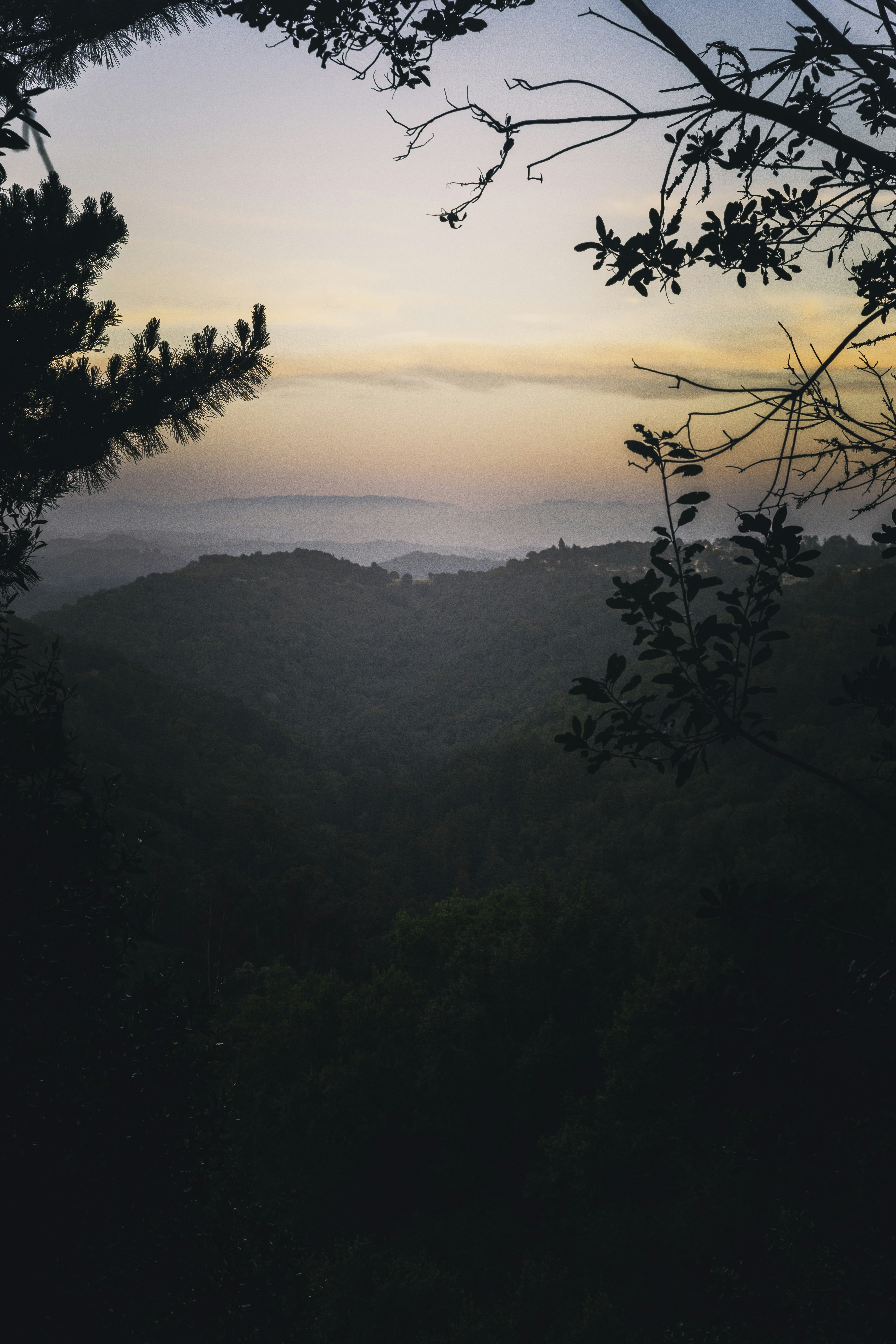 Photo by grahamklingler